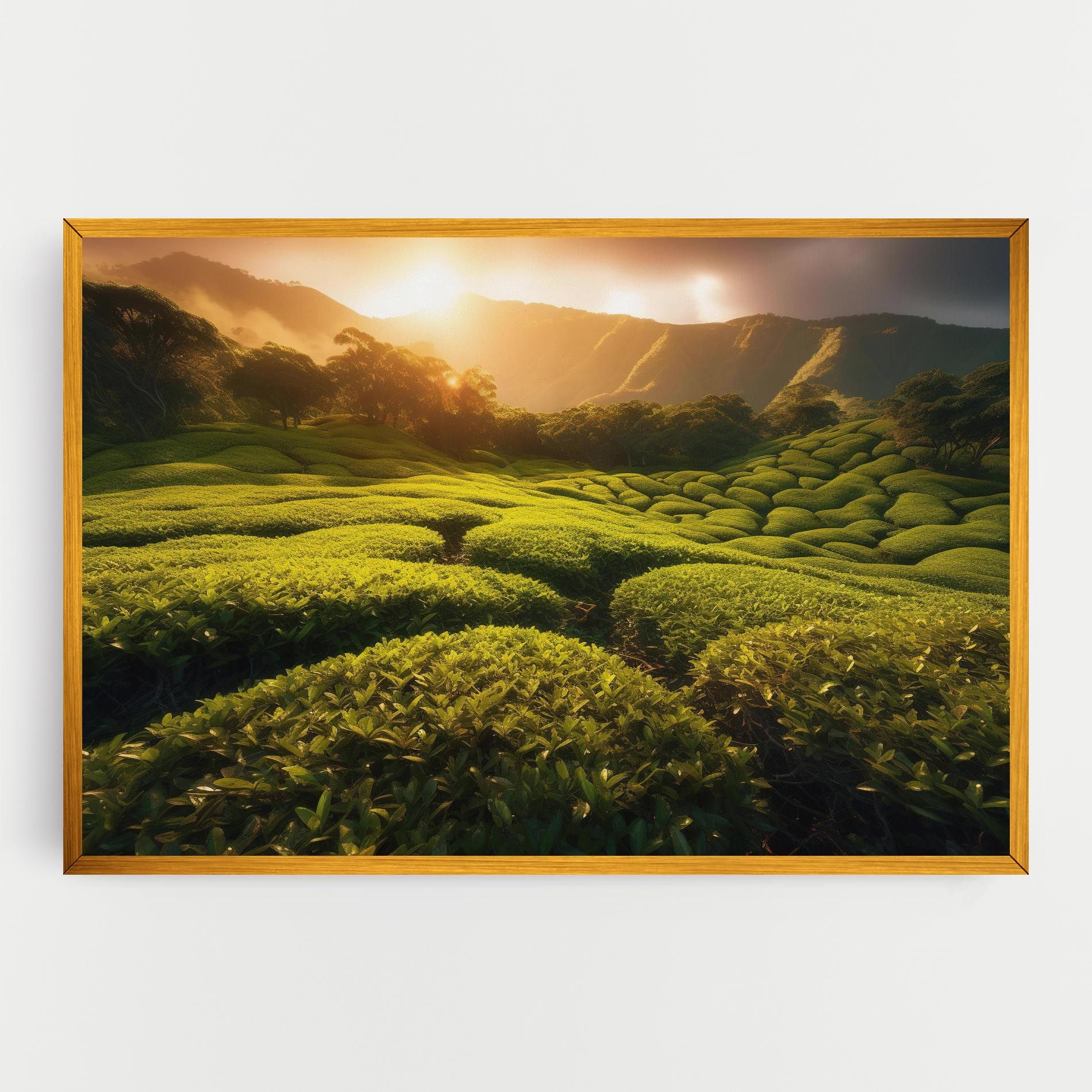 Tea Fields mockup 0
