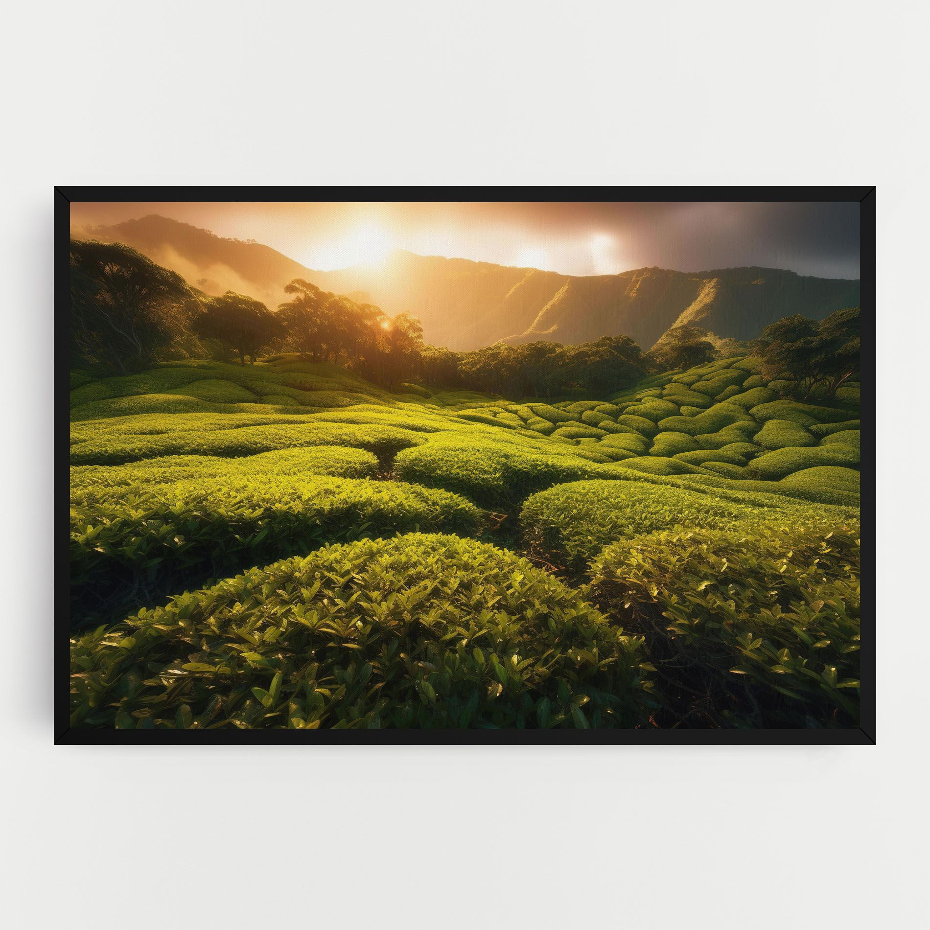 Tea Fields mockup 0