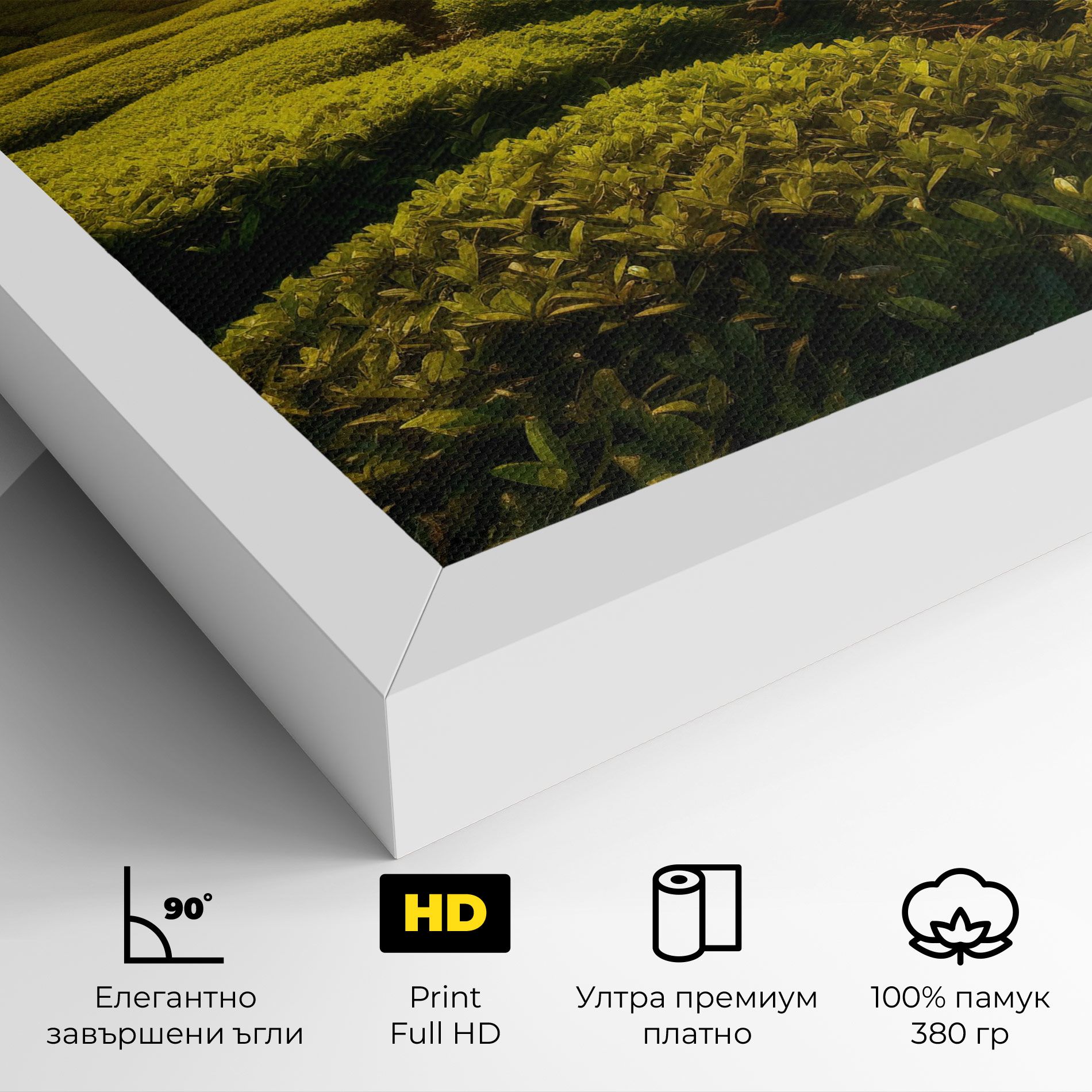 Tea Fields mockup 4
