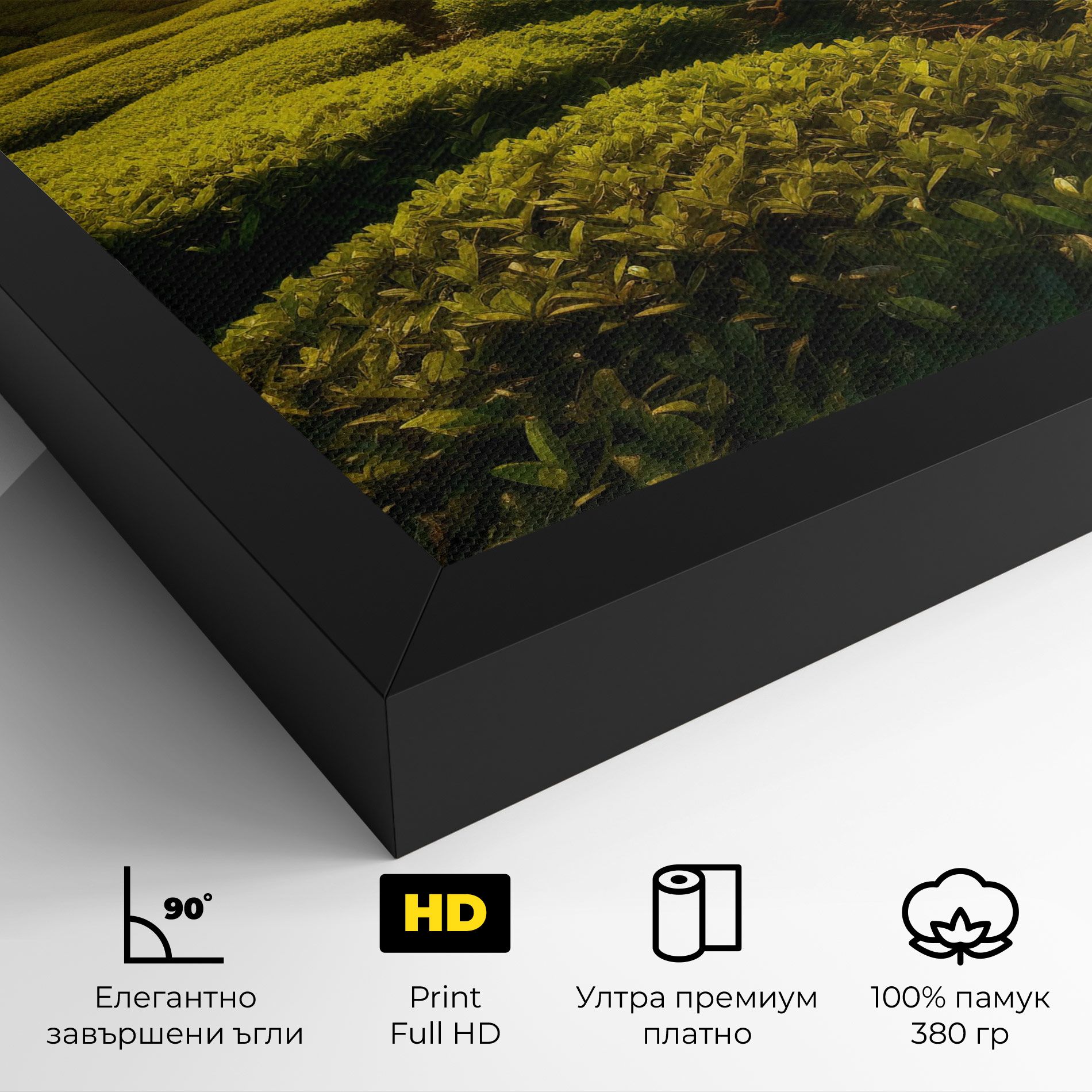 Tea Fields mockup 4