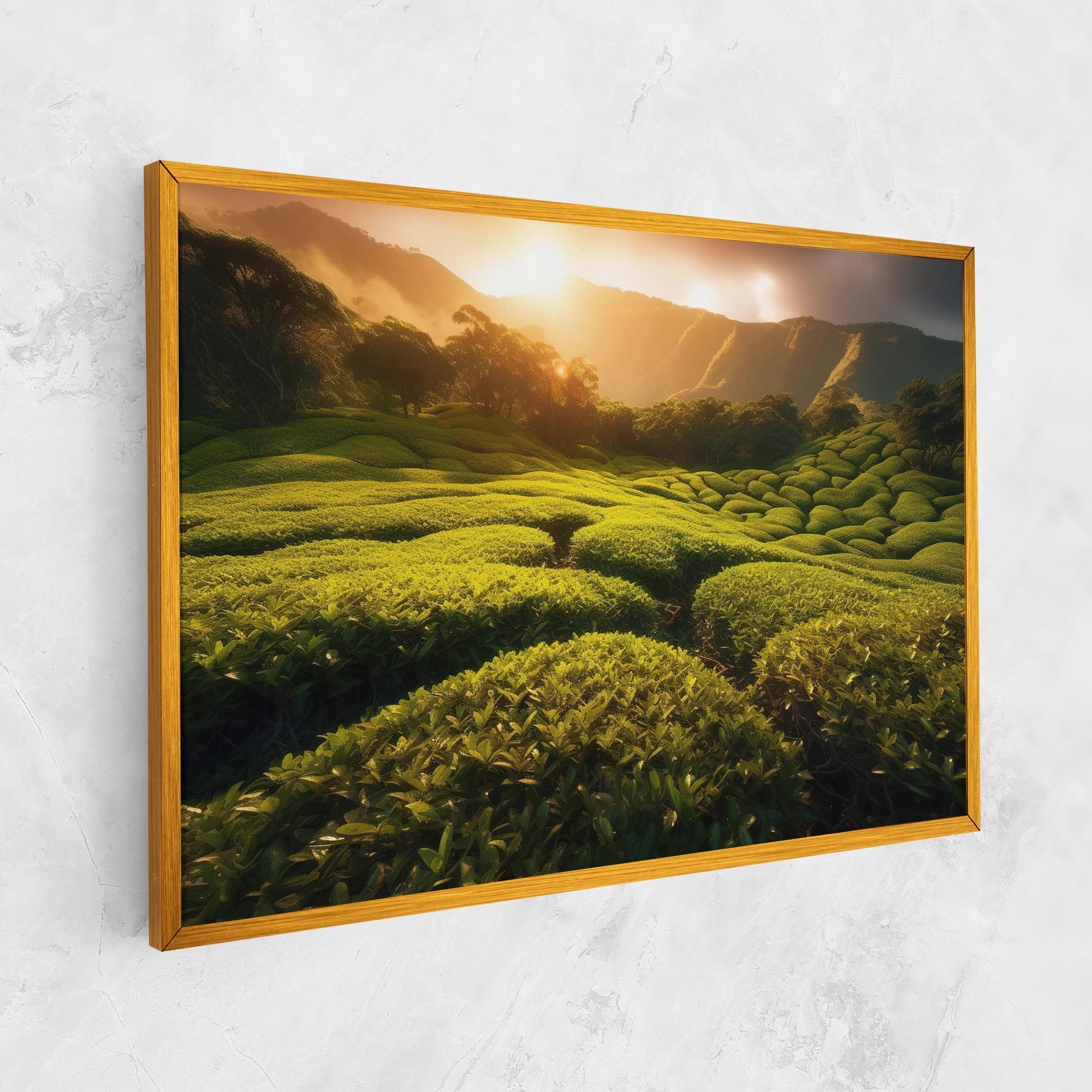 Tea Fields mockup 1