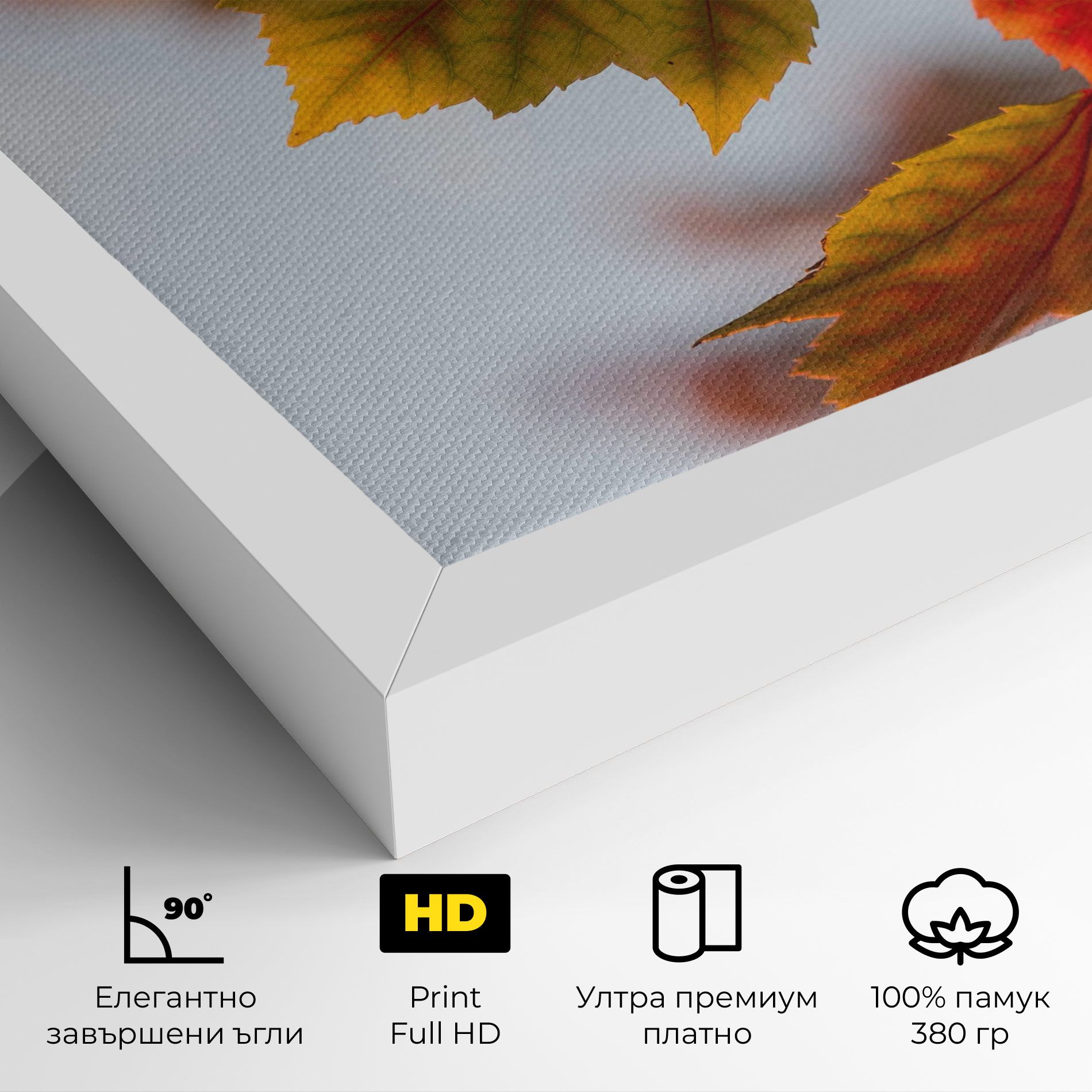 Red Yellow Autumn mockup 4