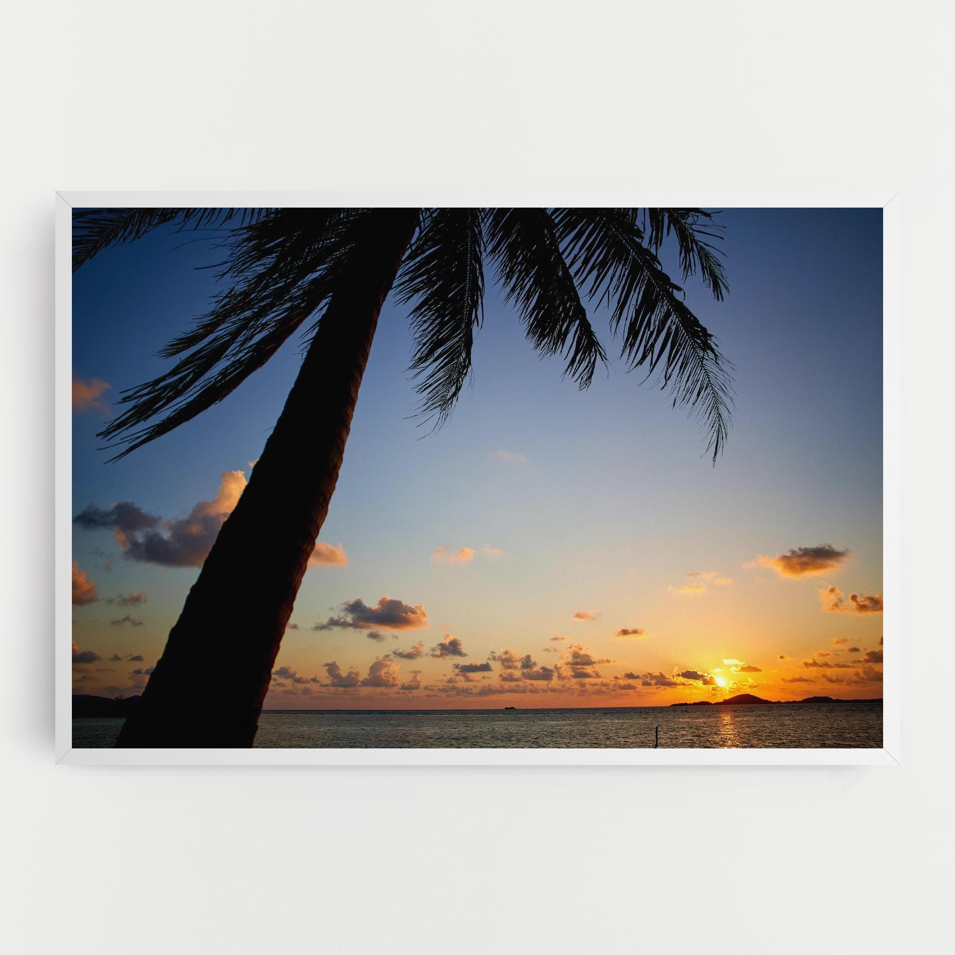 Palm Tree Silhouette mockup 0