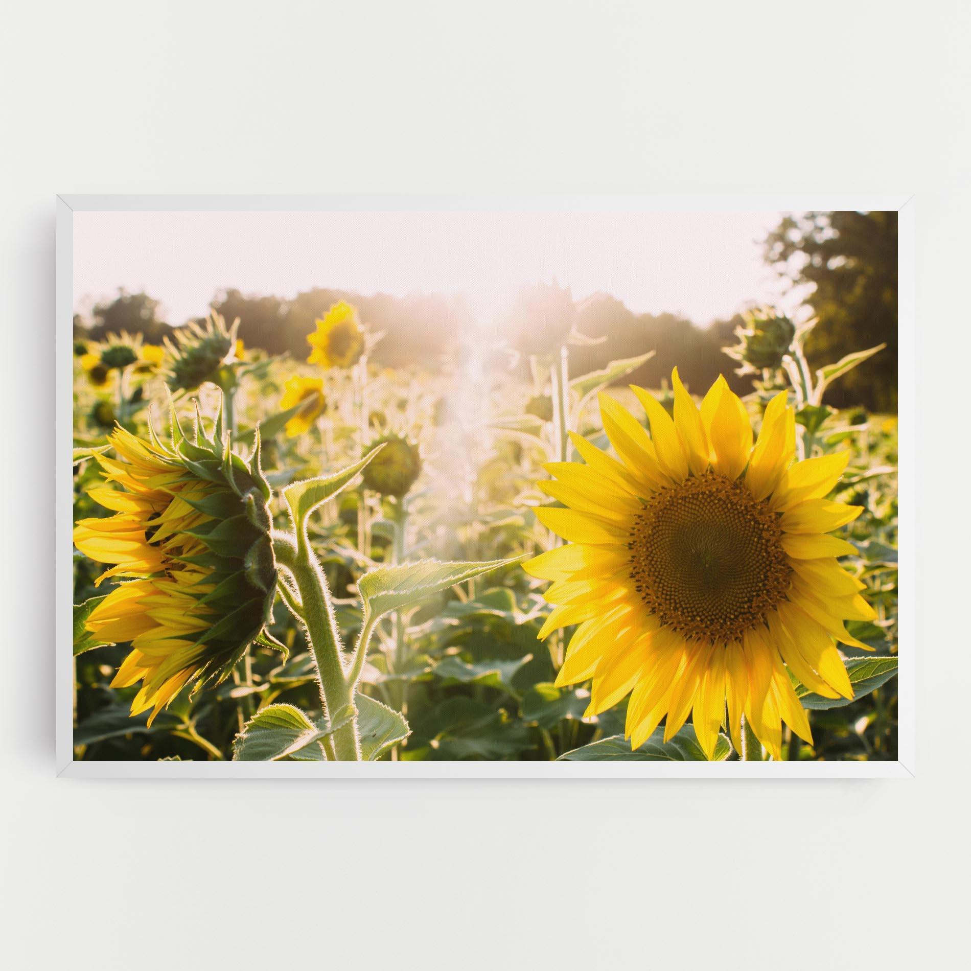 Картина на платно Yellow Sun Flower mockup 0