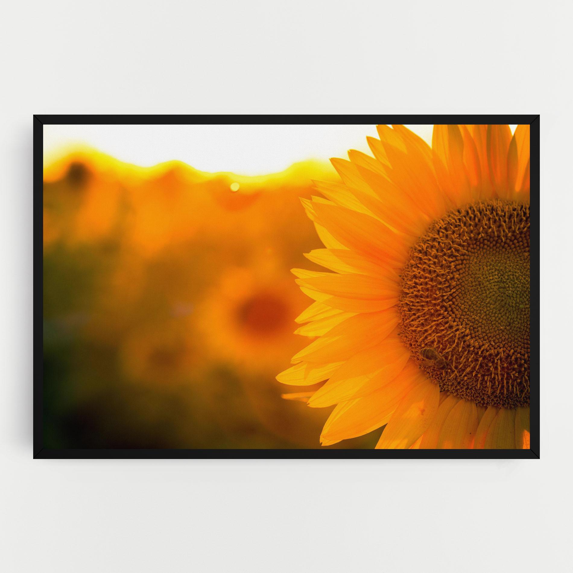 Картина на платно Sunflower mockup 0