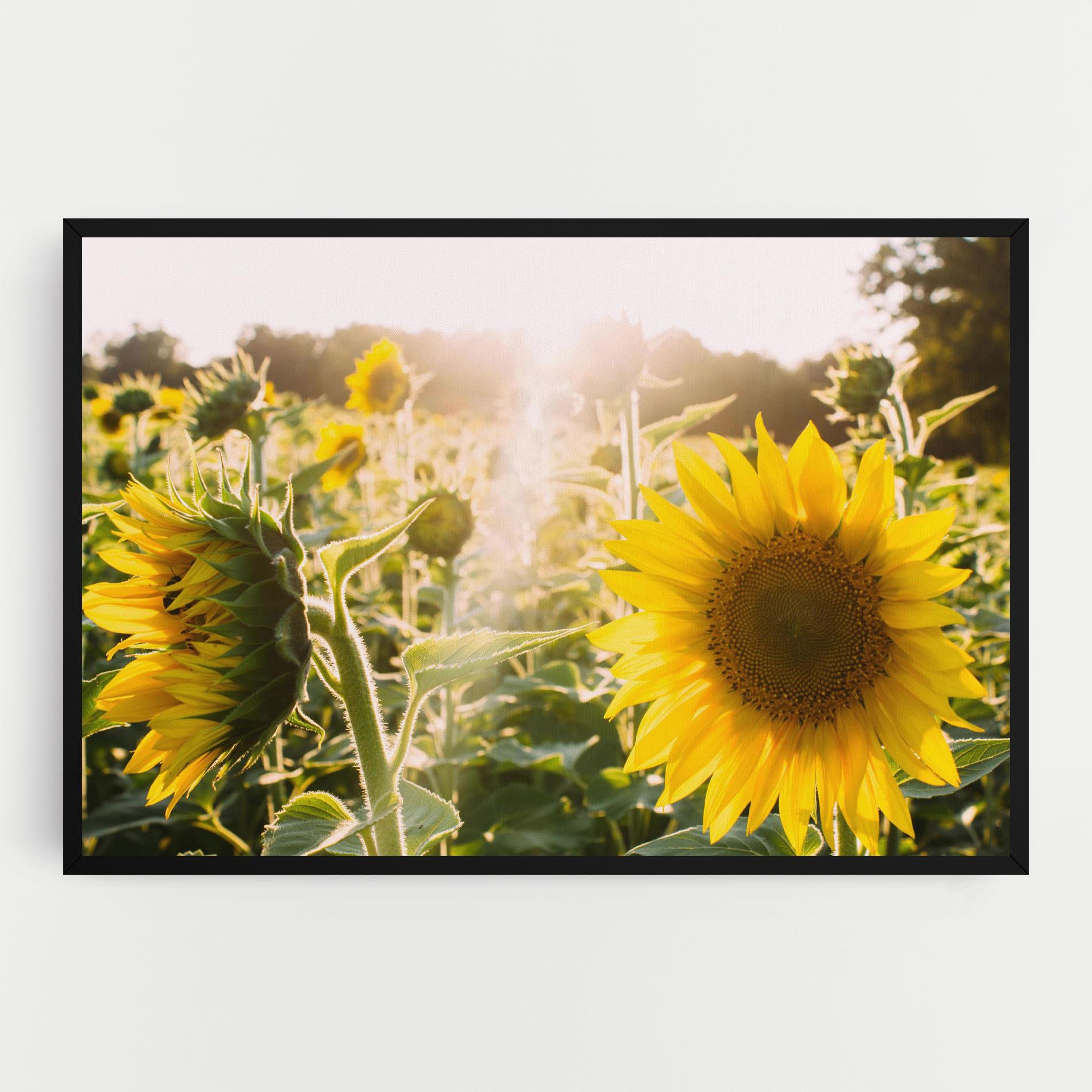 Картина на платно Yellow Sun Flower mockup 0