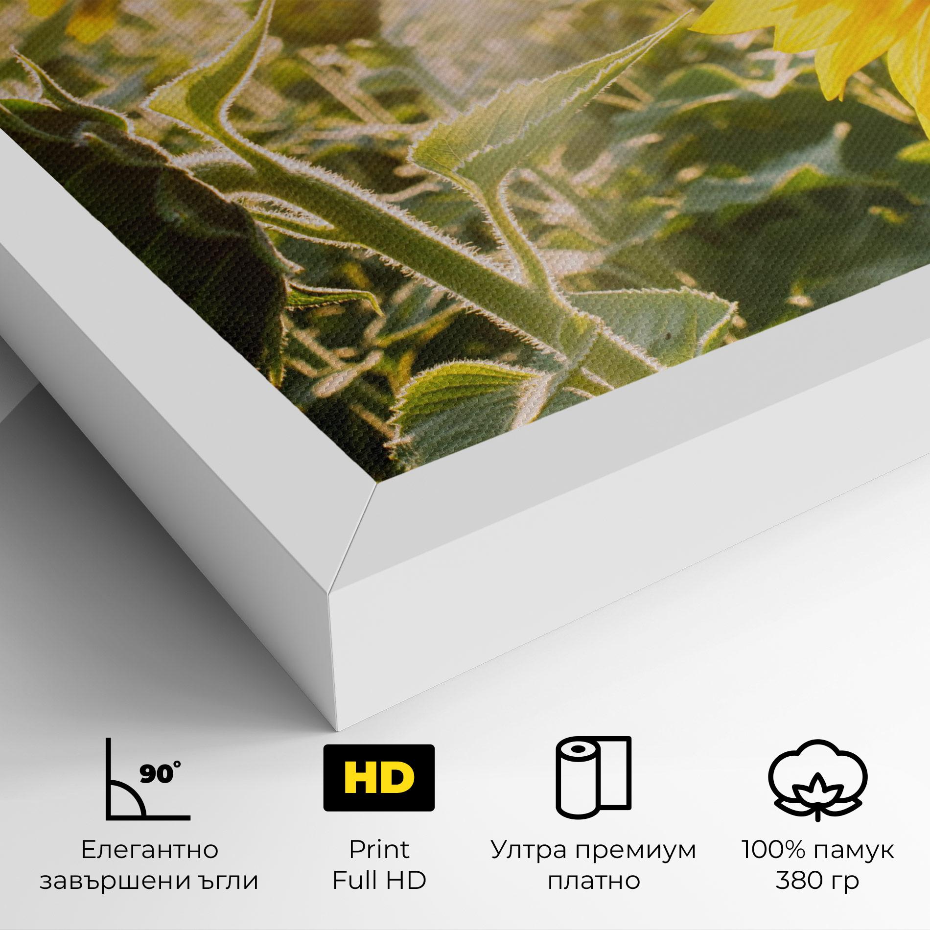 Картина на платно Yellow Sun Flower mockup 4