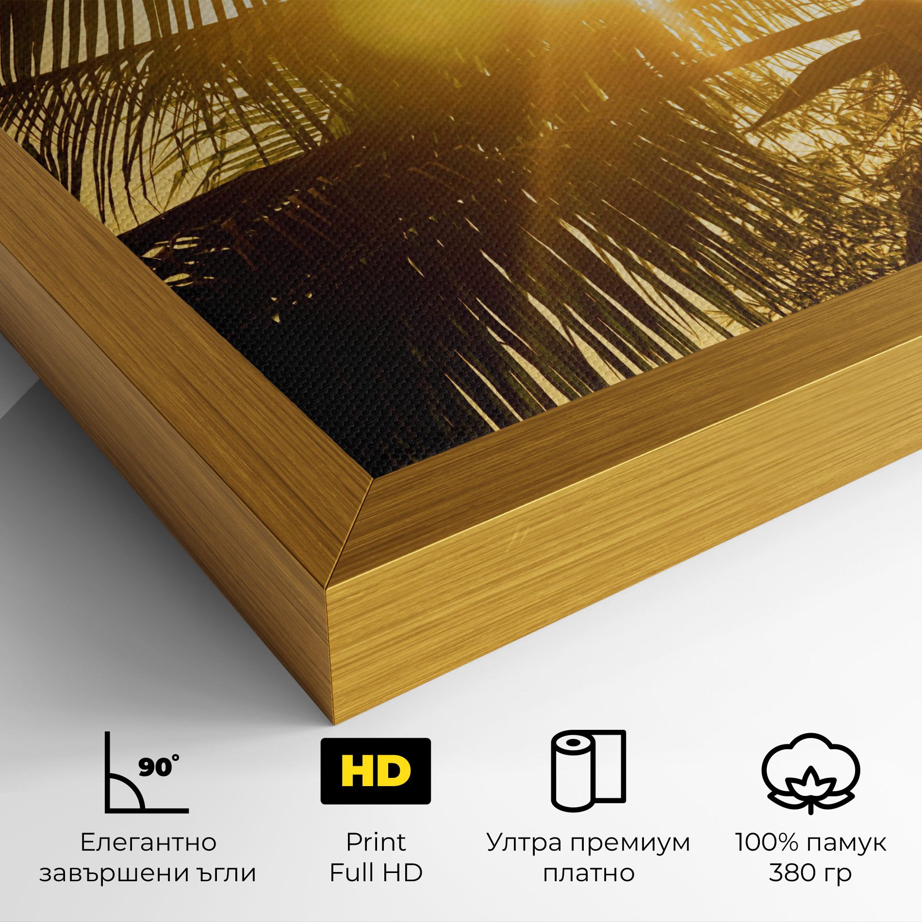 Palm Trees Sun mockup 4