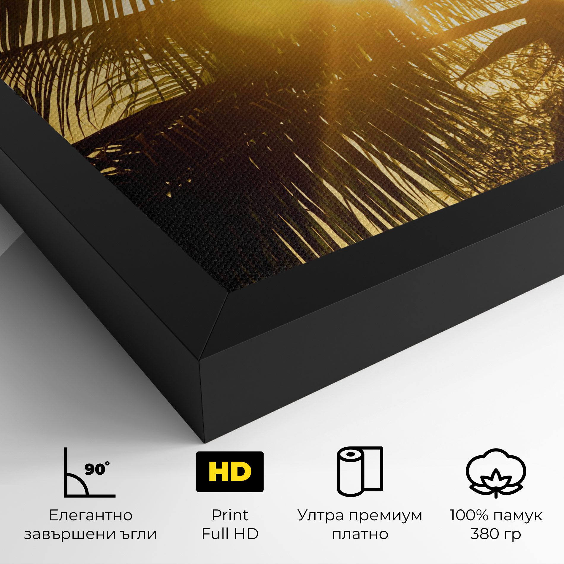 Palm Trees Sun mockup 4