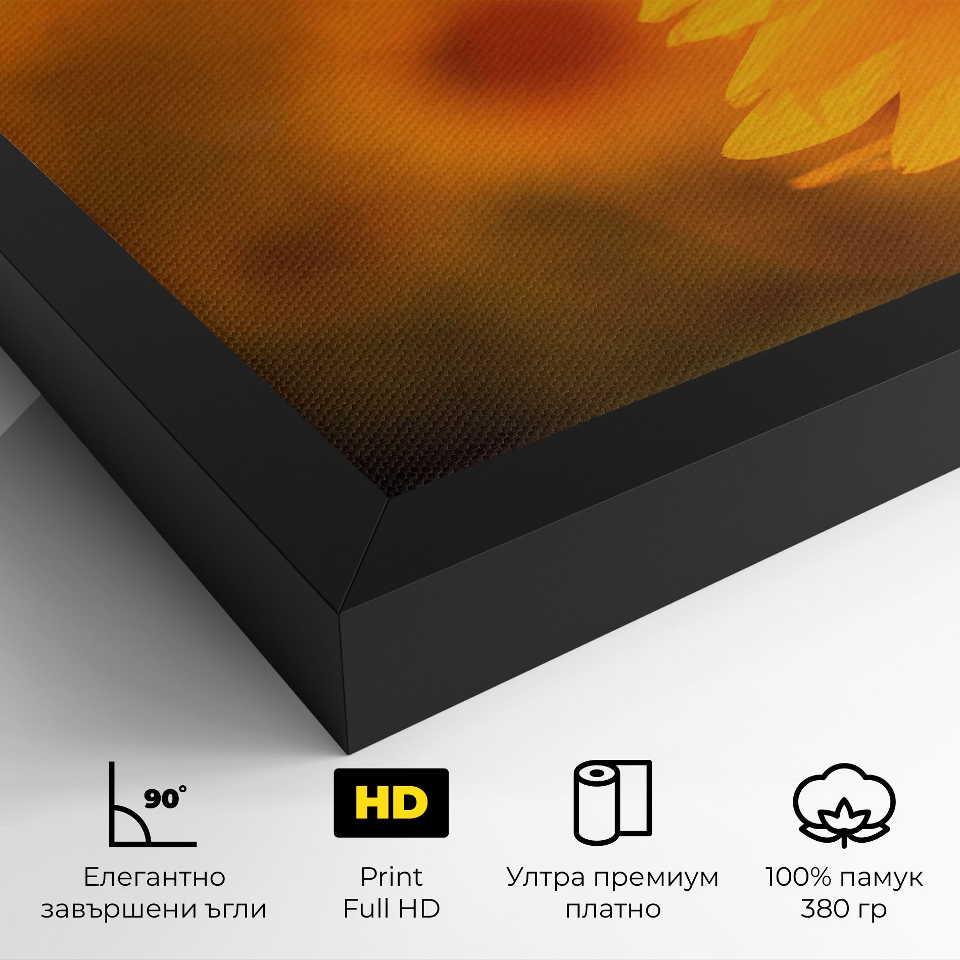 Sunflower mockup 4