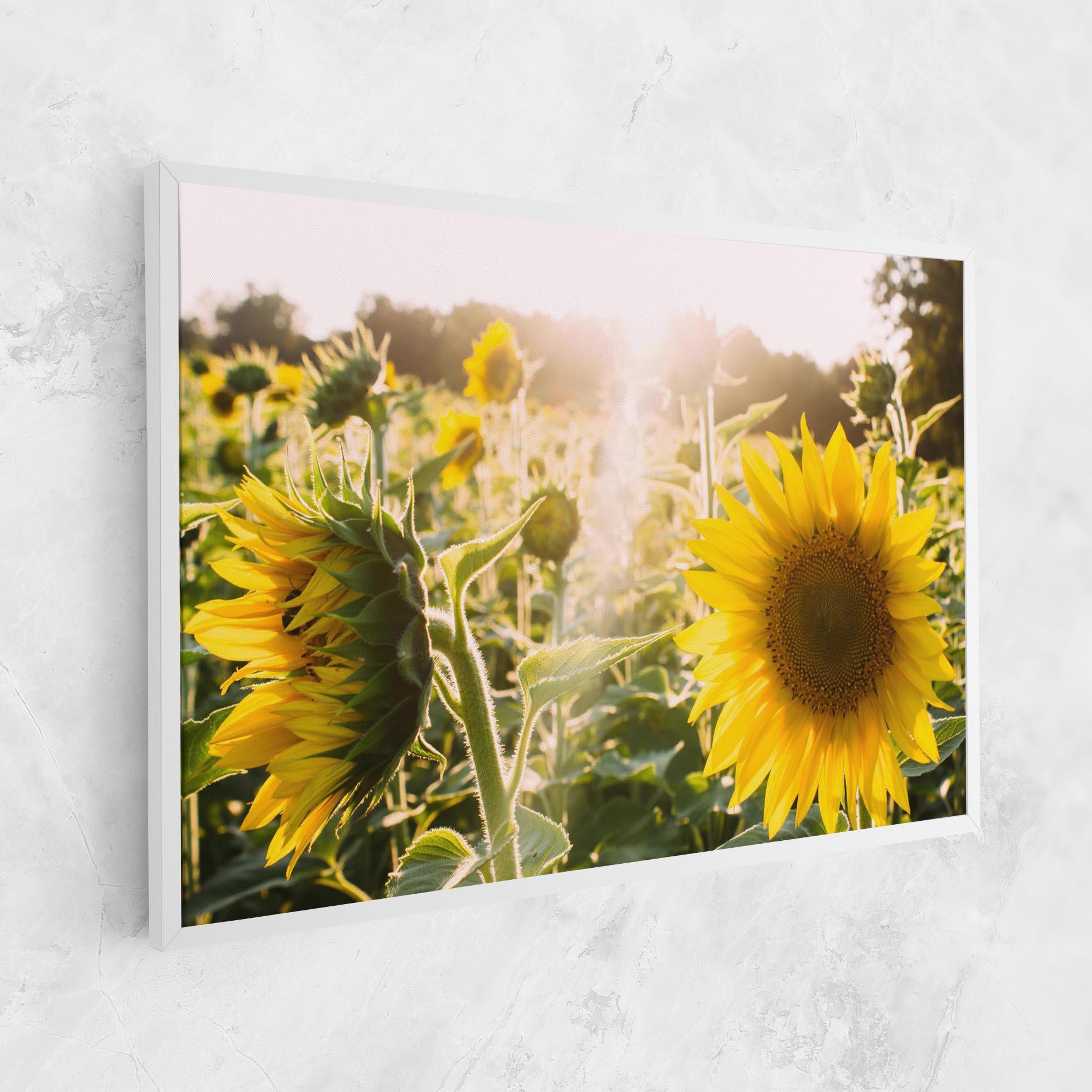 Картина на платно Yellow Sun Flower mockup 1