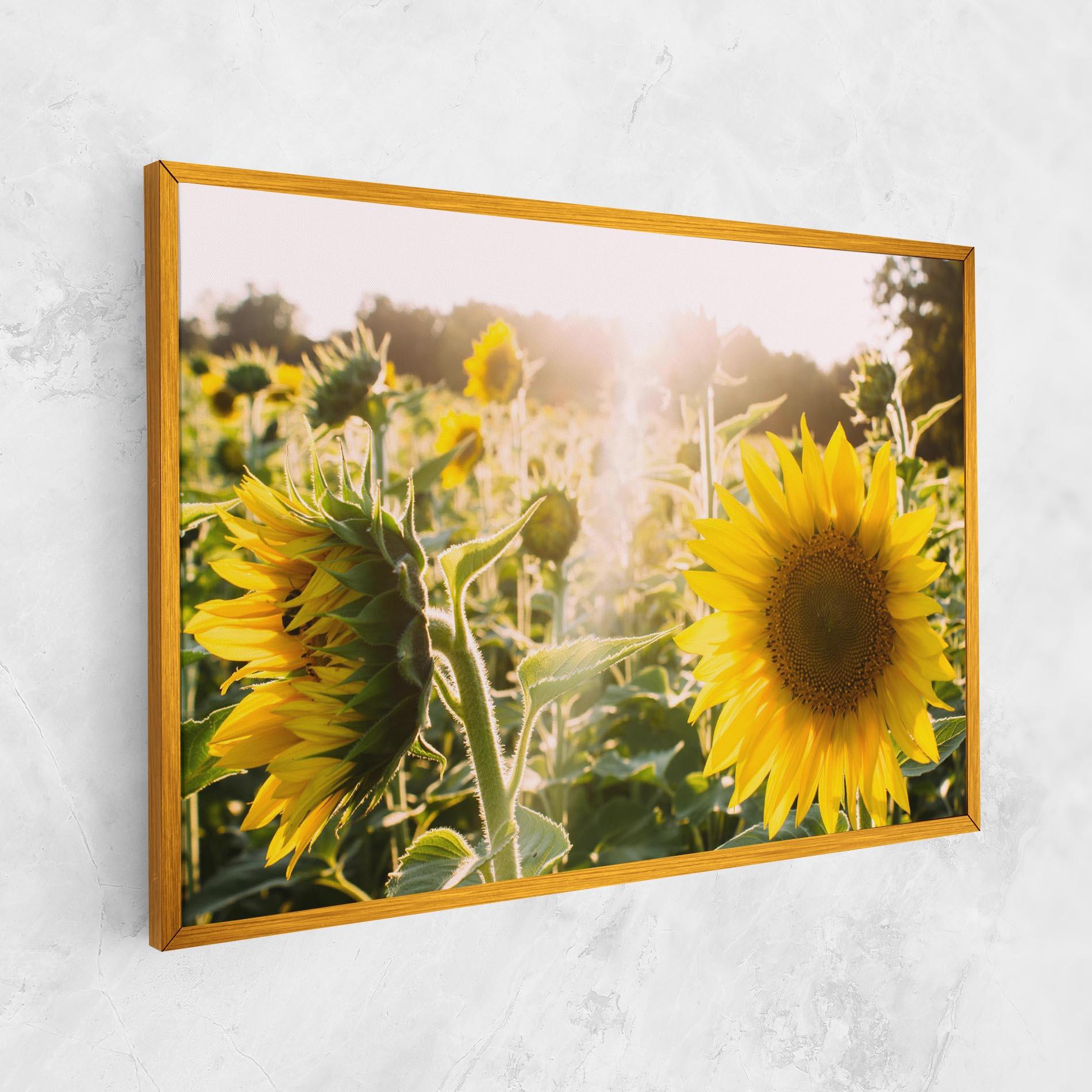 Картина на платно Yellow Sun Flower mockup 1