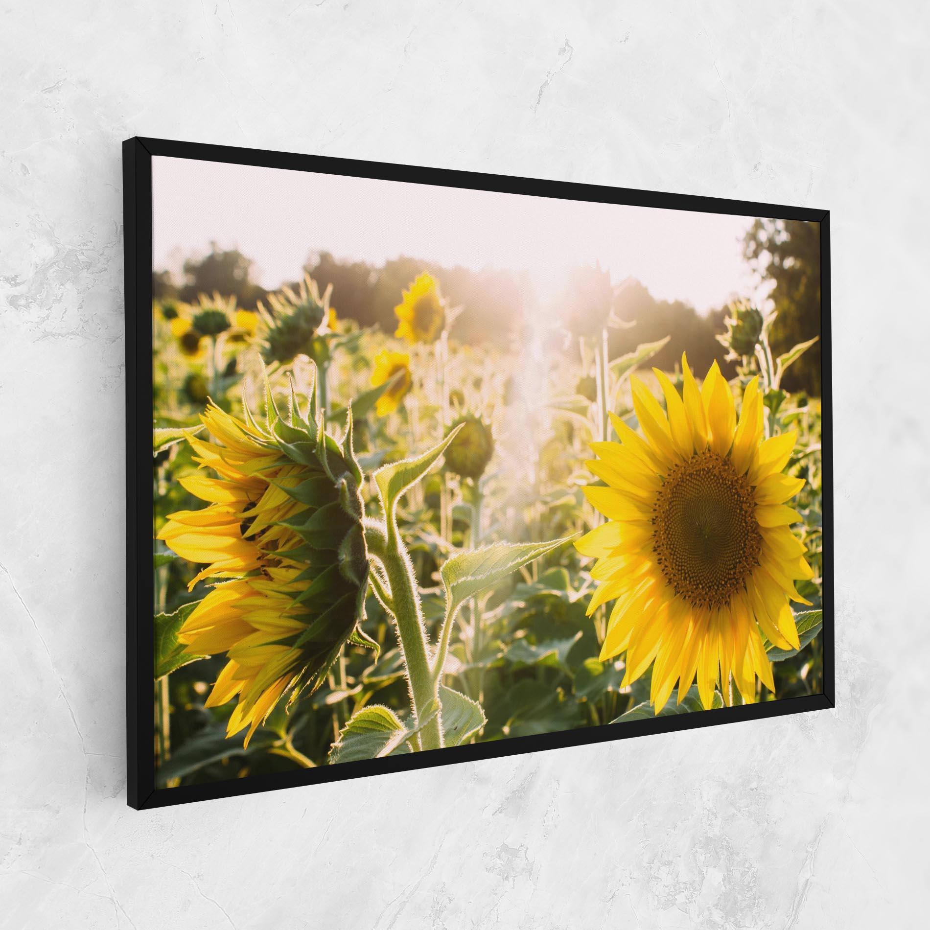 Картина на платно Yellow Sun Flower mockup 1