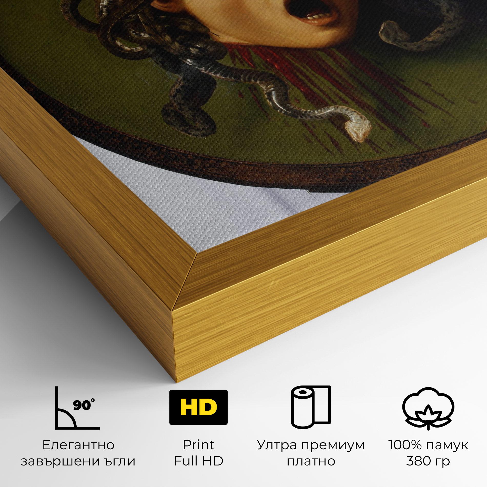 Картина на платно Caravaggio Medusa mockup 4