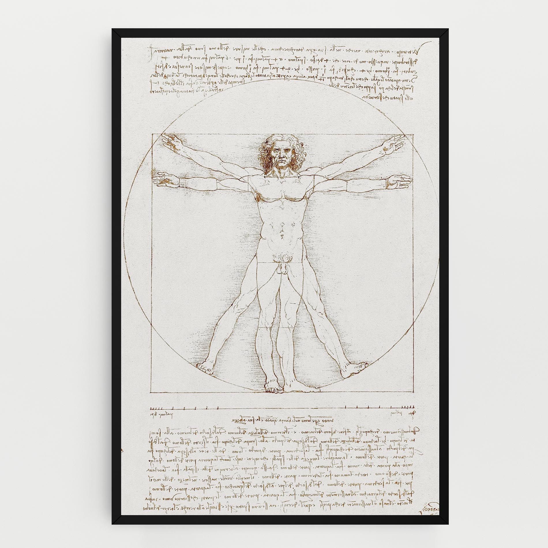 Leonardo Da Vinci's Vitruvian Man mockup 0
