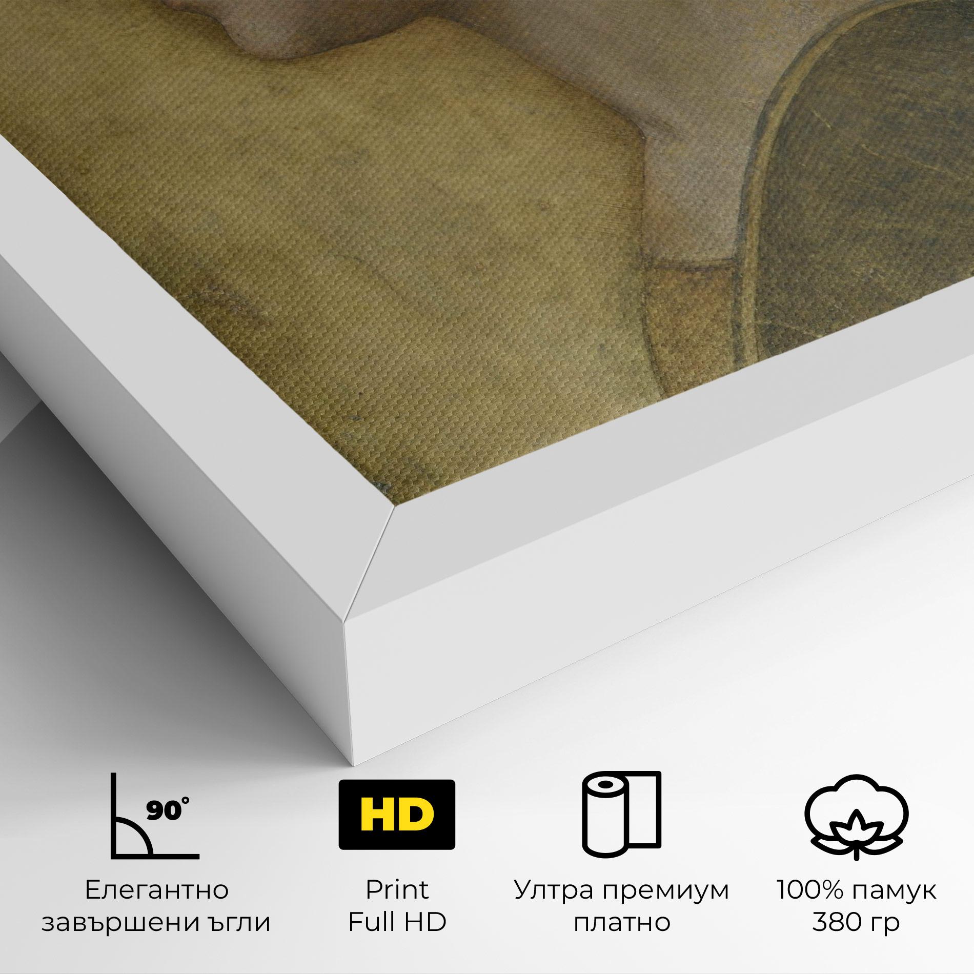 Картина на платно Profile Of A Young Fiancee Da Vinci mockup 4