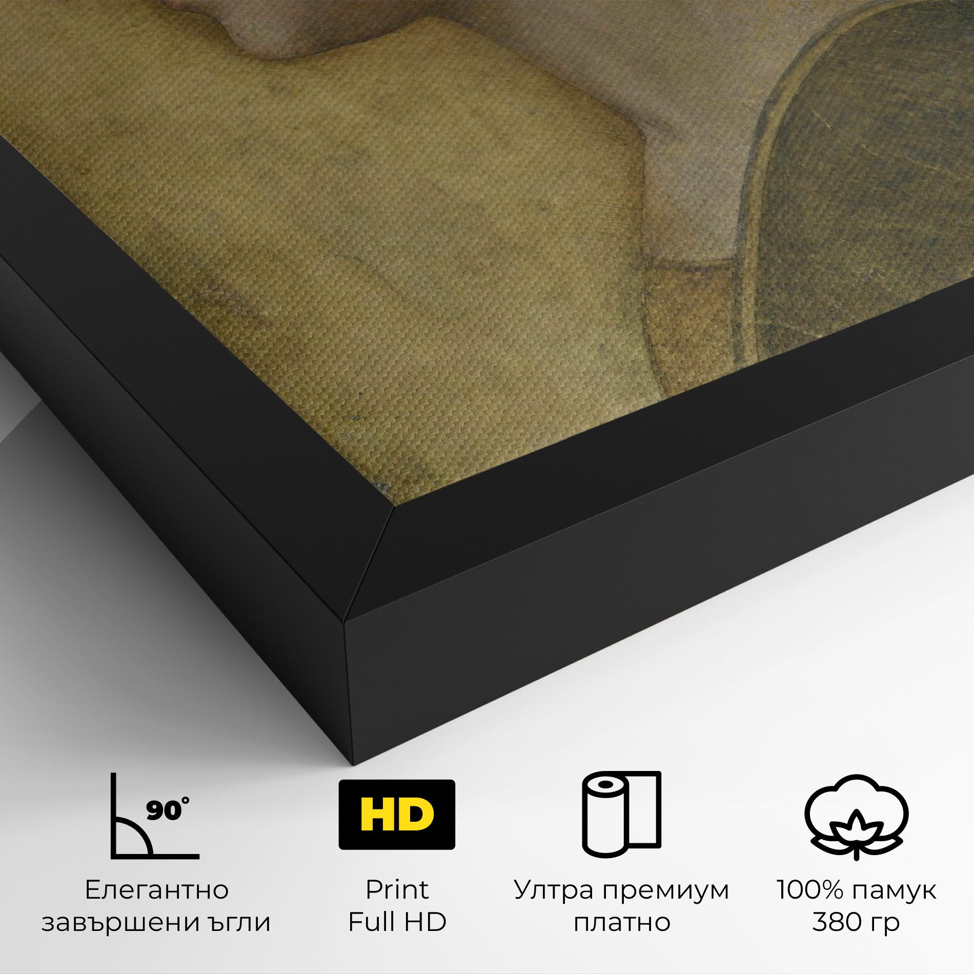 Картина на платно Profile Of A Young Fiancee Da Vinci mockup 4