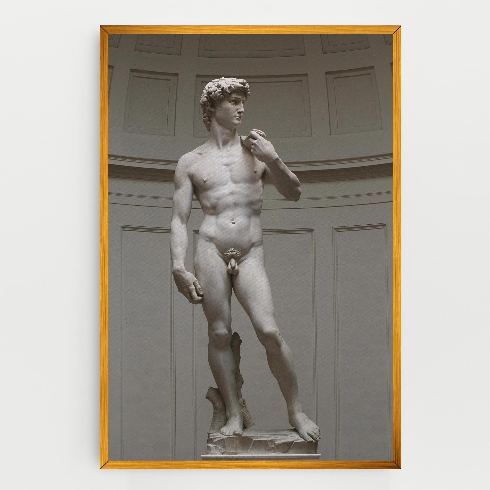 Картина на платно Michelangelo Statue mockup 0
