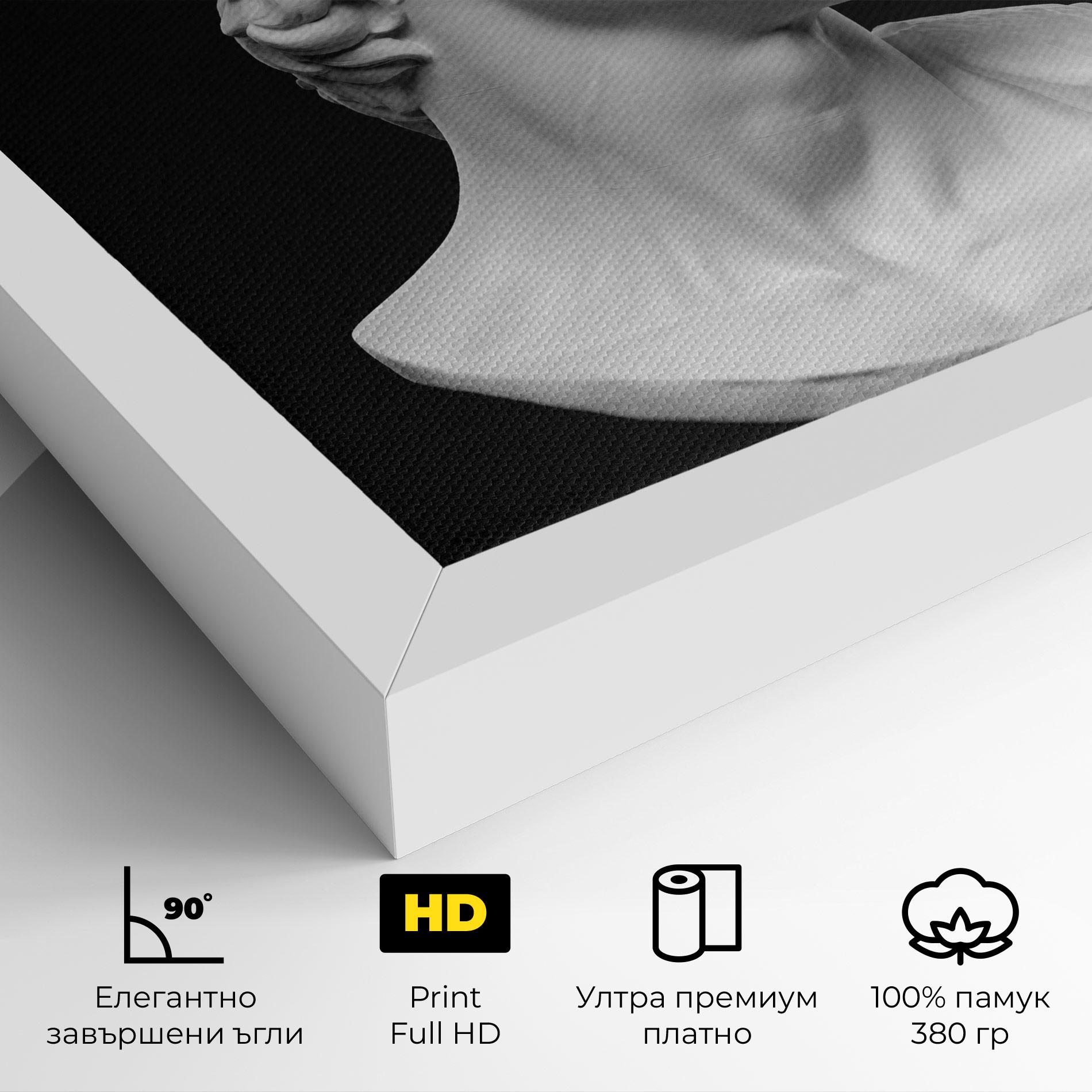 Картина на платно David Head mockup 4