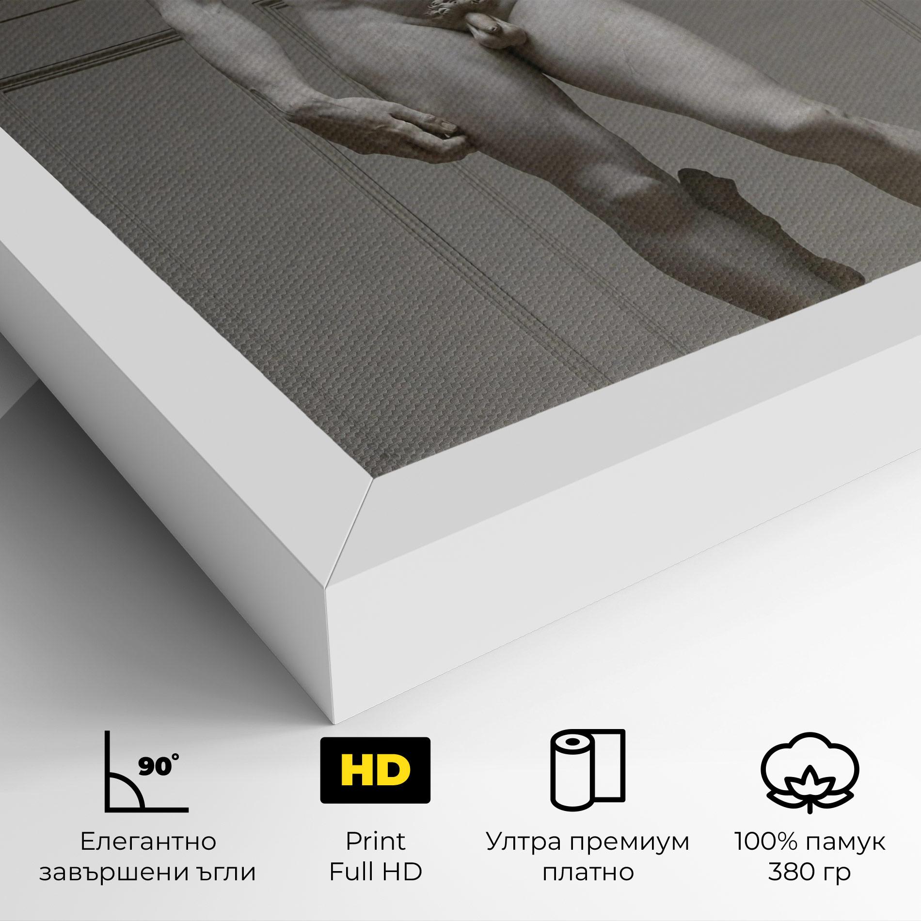 Картина на платно Michelangelo Statue mockup 4