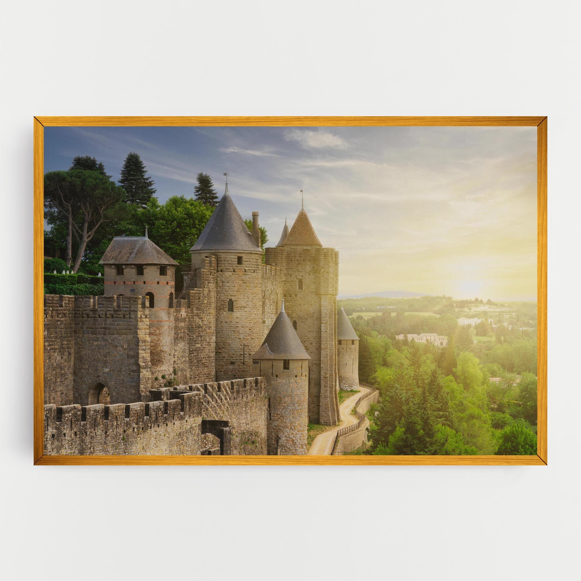 Carcassonne France mockup 0