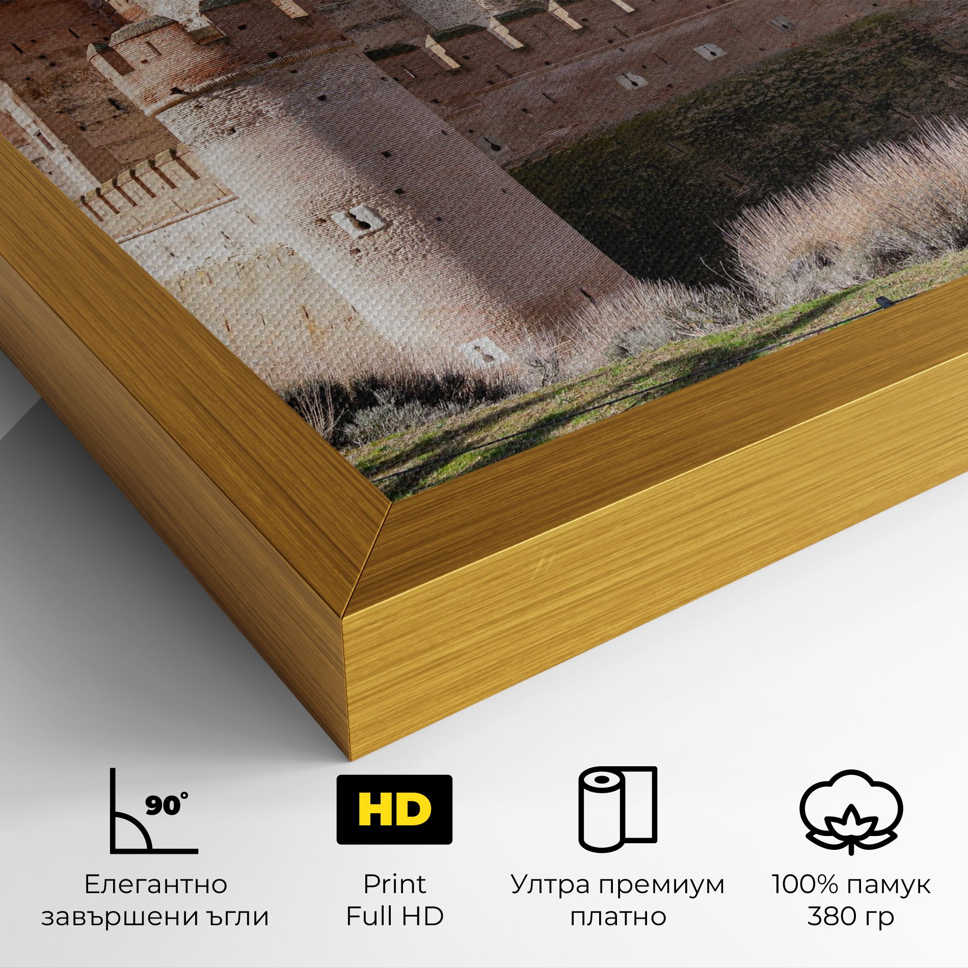 Castle La Mota mockup 4