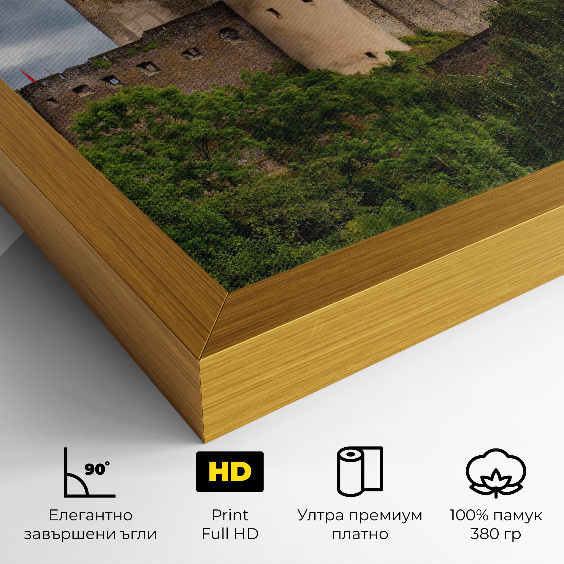 Картина на платно Castle Vianden mockup 4
