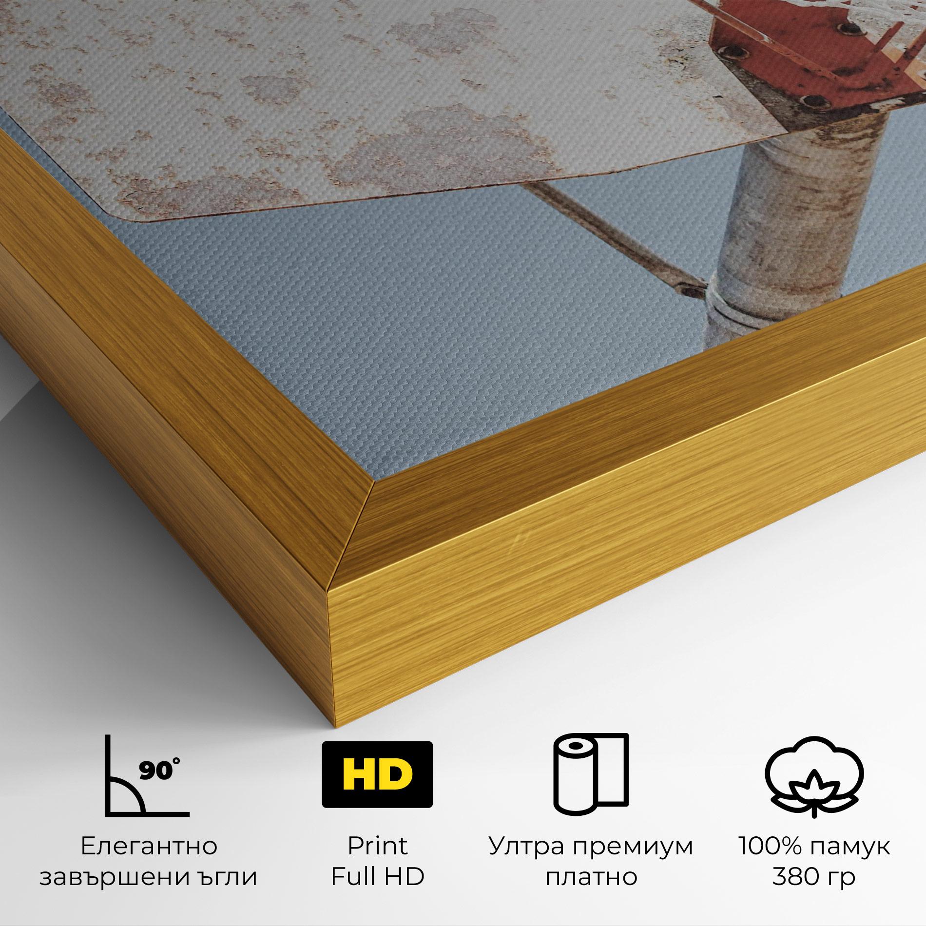 Картина на платно Old Basketball Hoop mockup 4