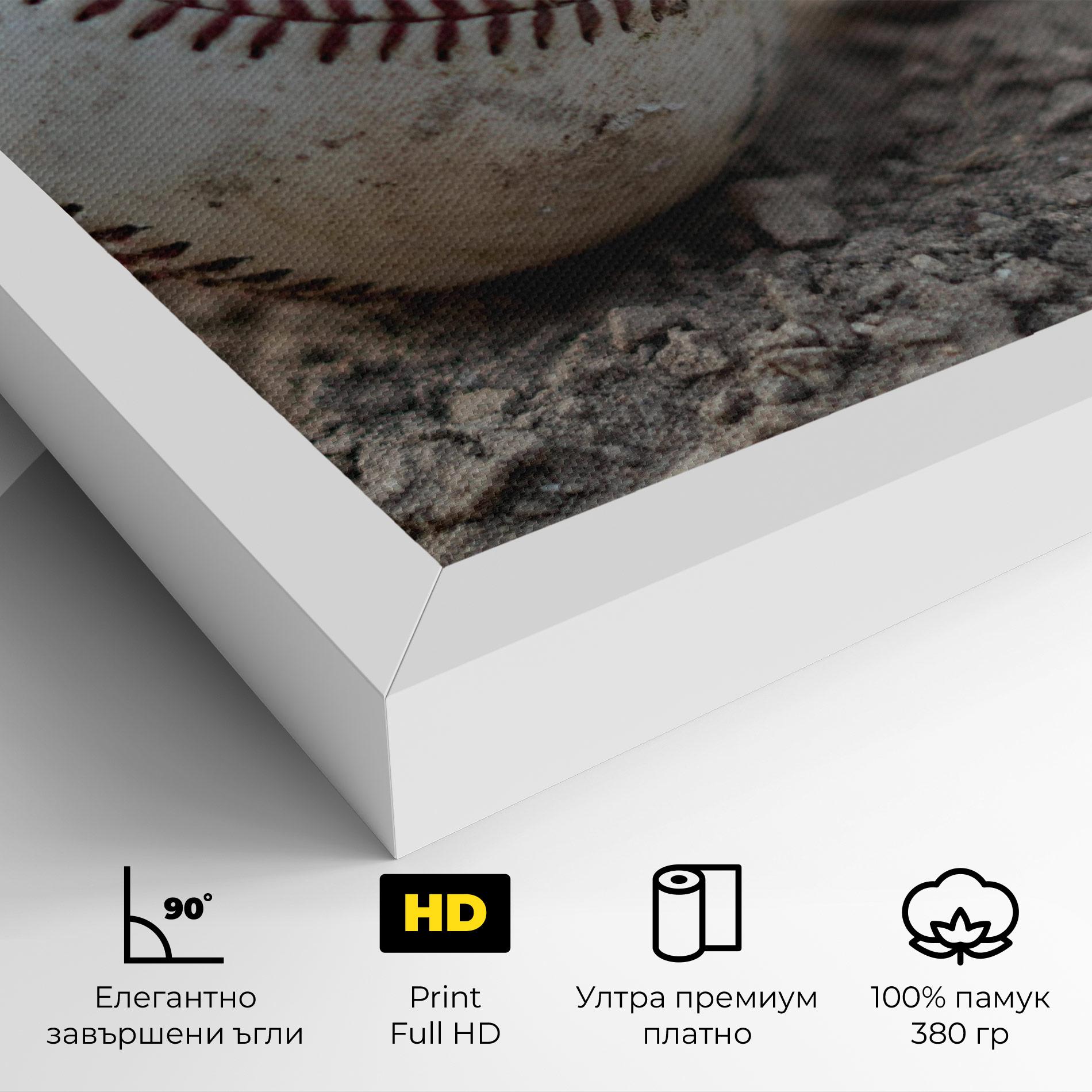 Картина на платно Dusty Baseball Ball mockup 4