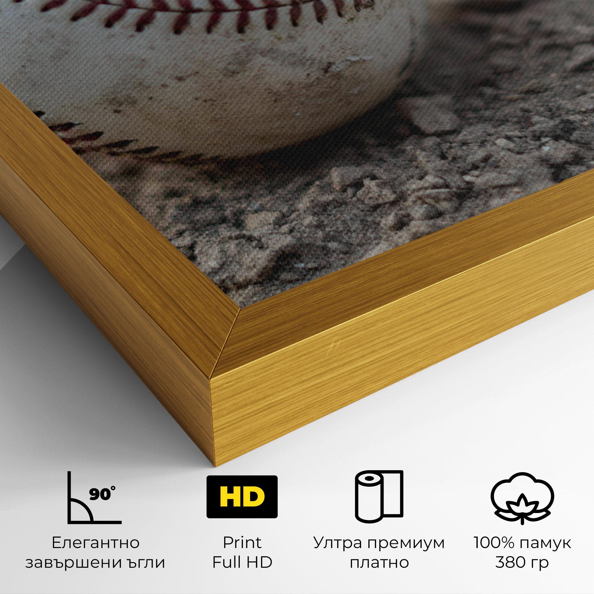 Картина на платно Dusty Baseball Ball mockup 4