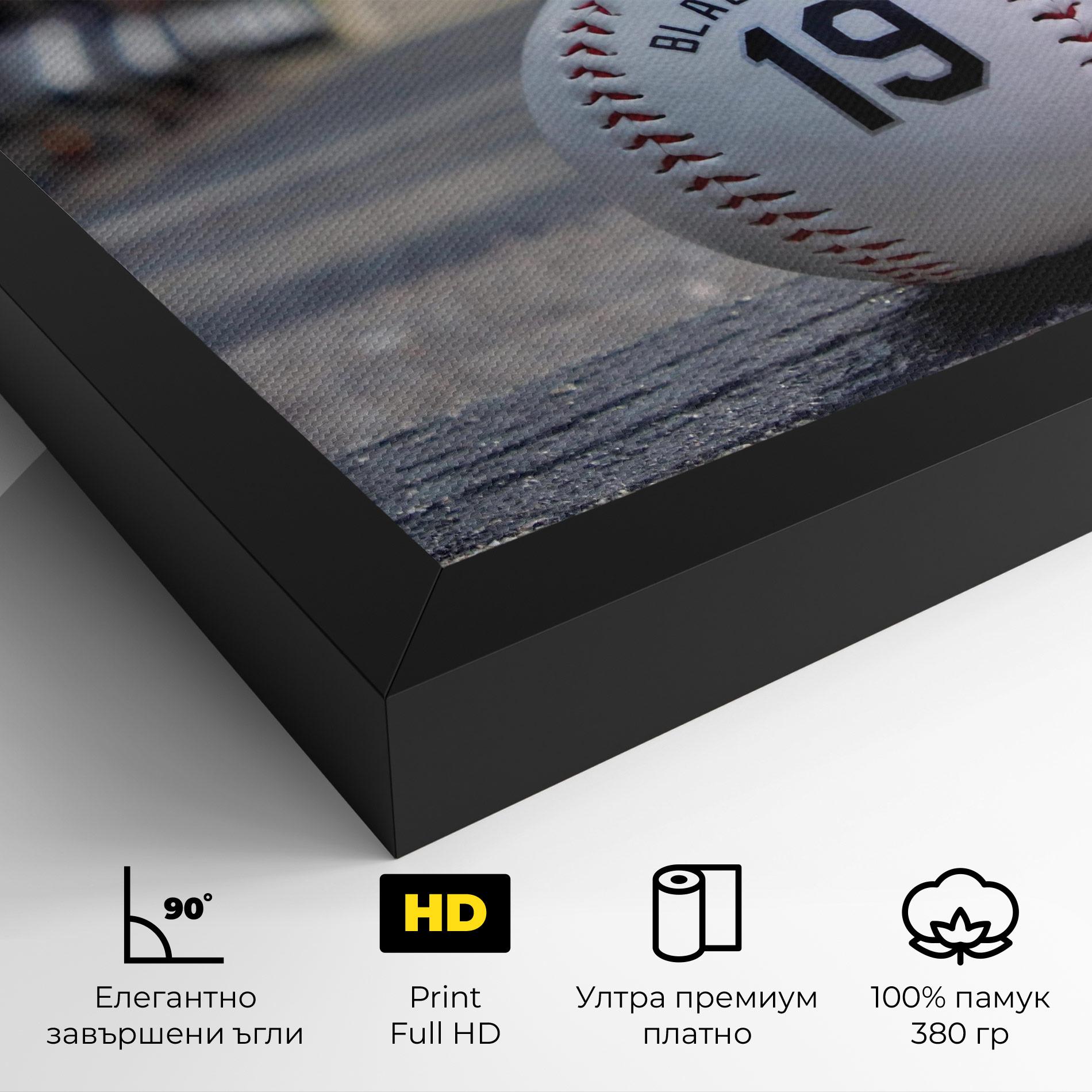Картина на платно Baseball Nr 19 mockup 4