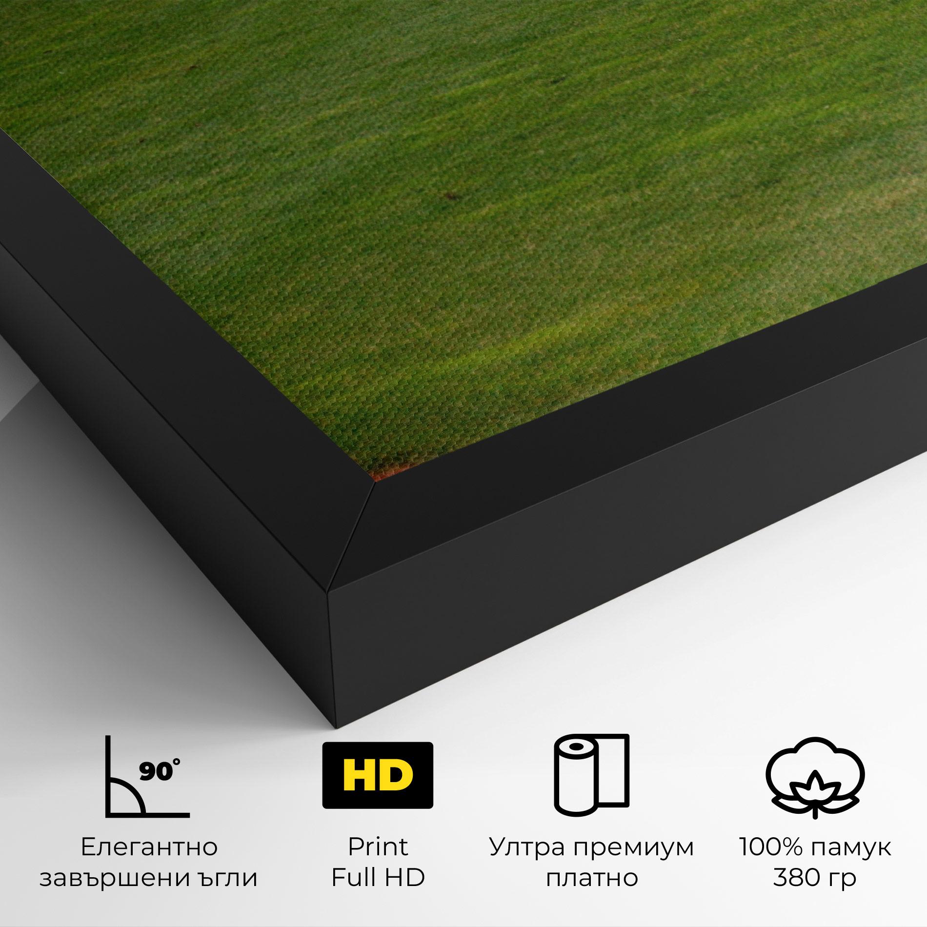 Картина на платно Baseball Player mockup 4