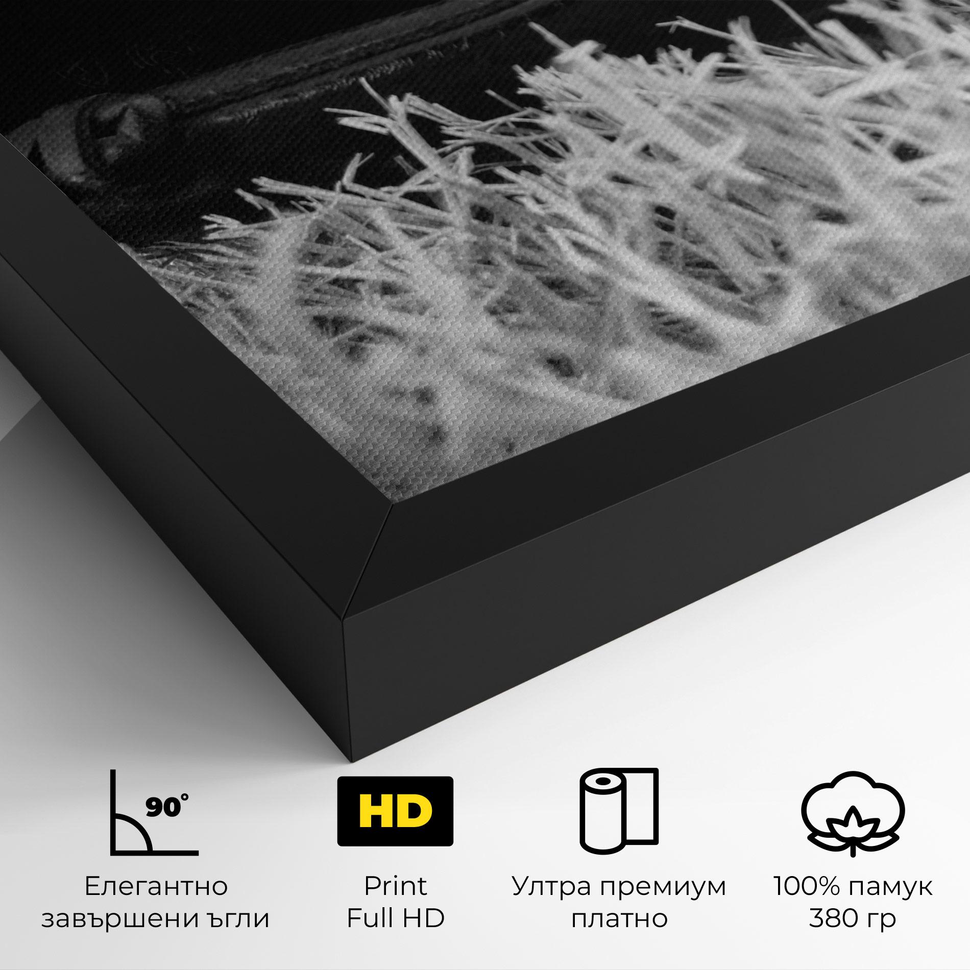 Картина на платно Black Baseball Glove mockup 4