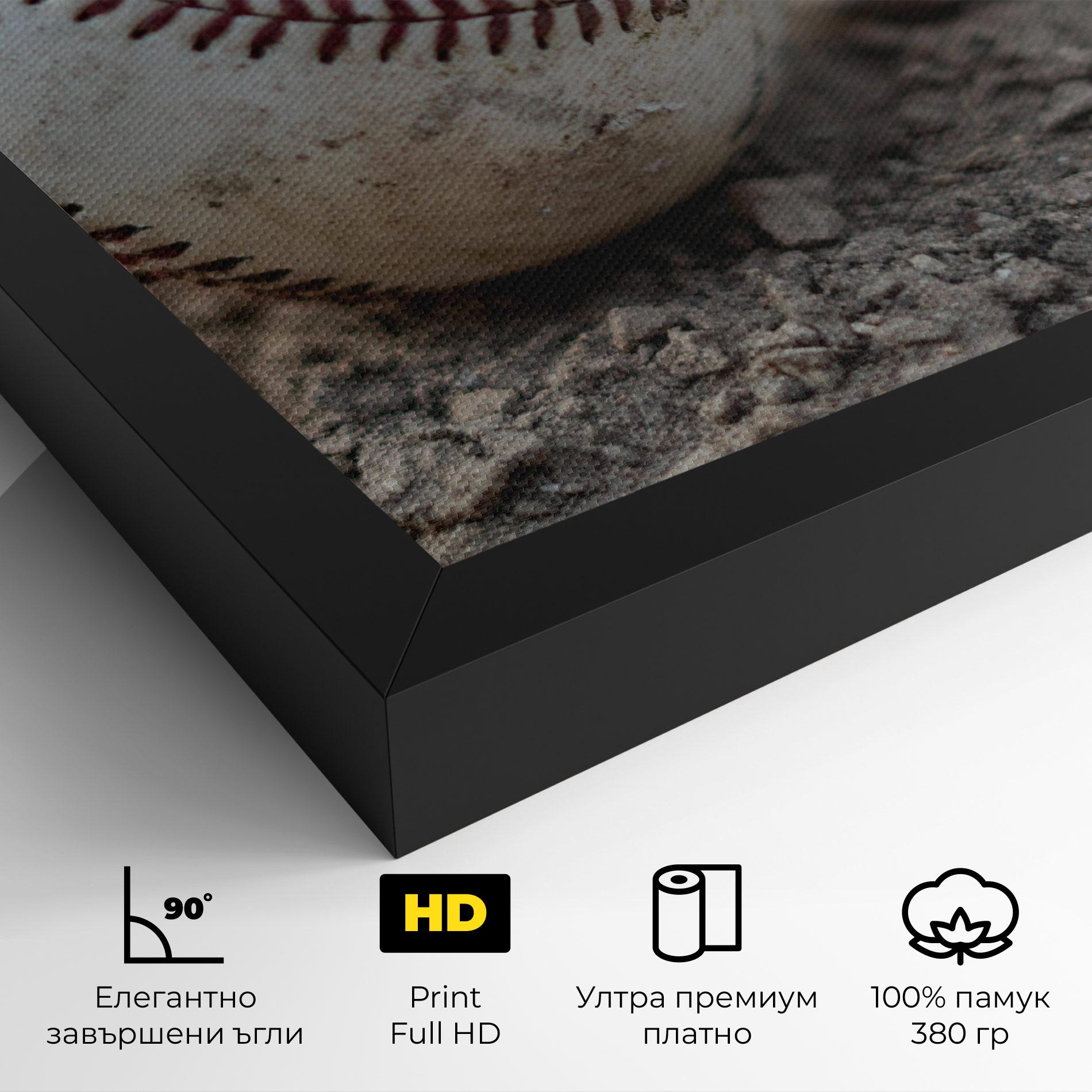 Картина на платно Dusty Baseball Ball mockup 4