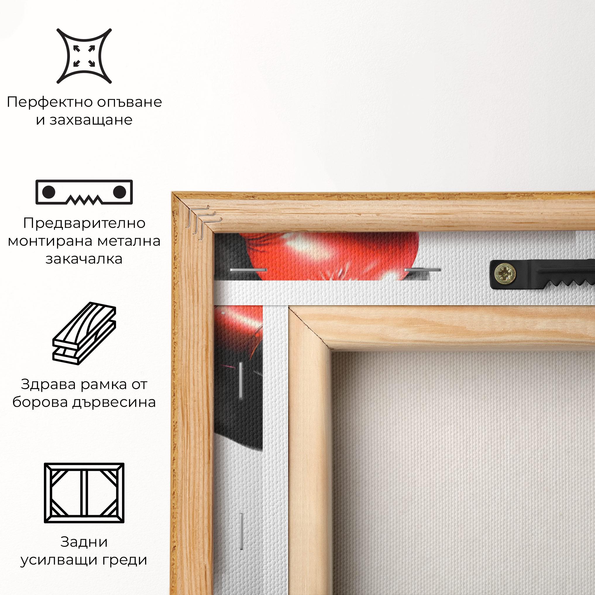 Картина на платно Red Smoke Box mockup 5