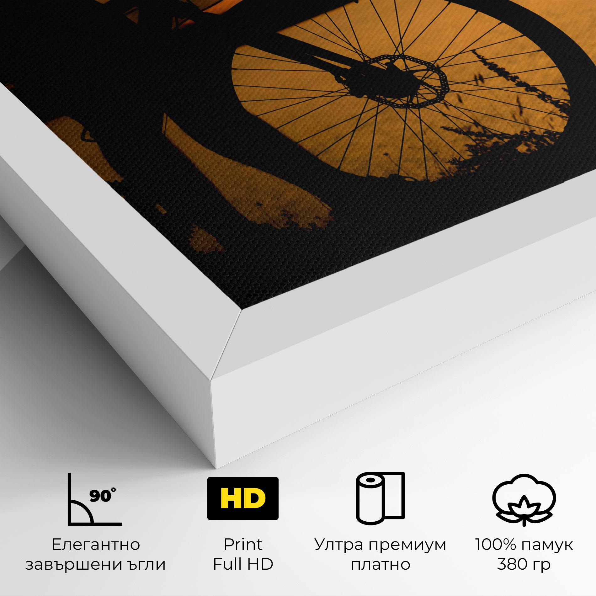 Картина на платно Bicycle Sunset Silhouette mockup 4