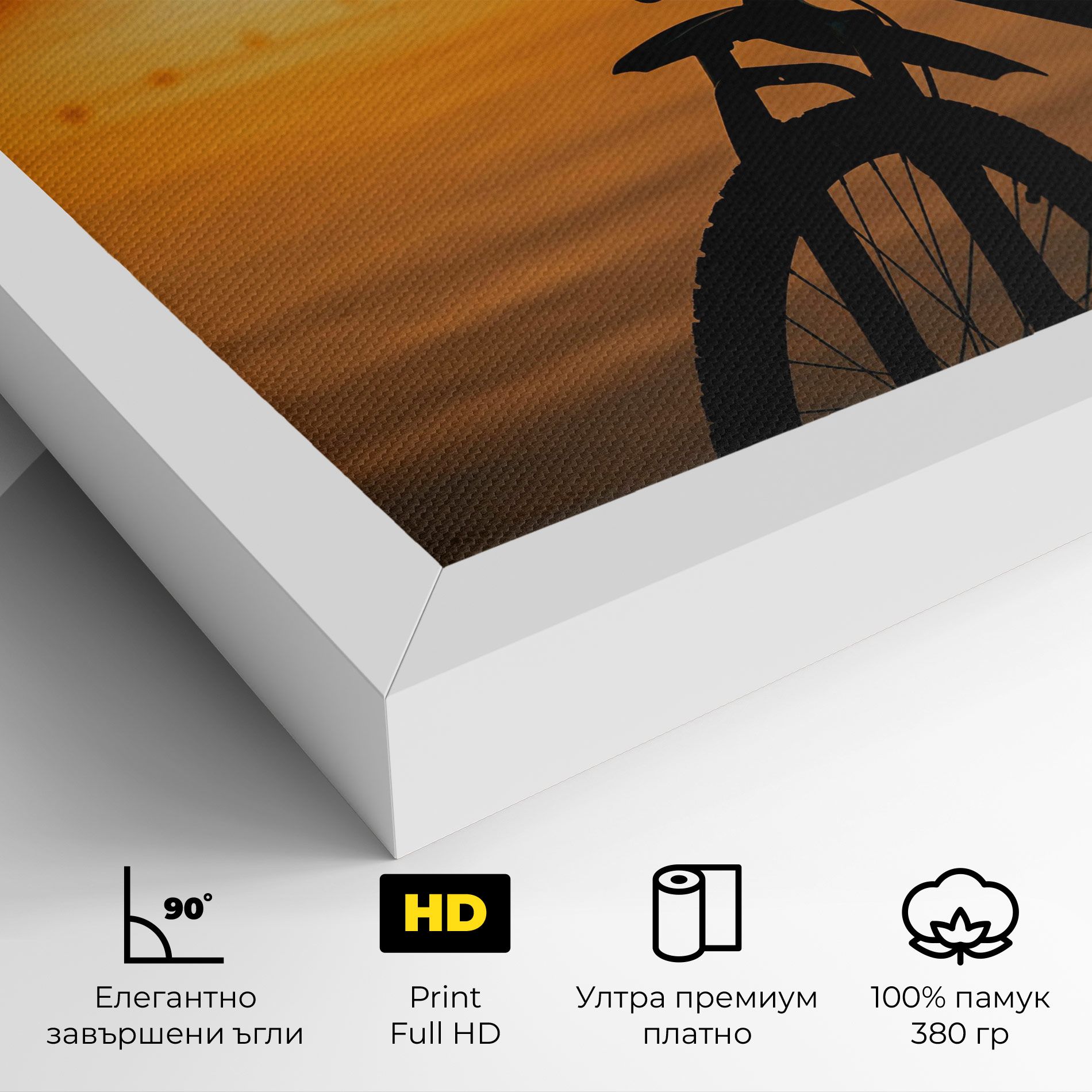 Sunset Lake Bike mockup 4