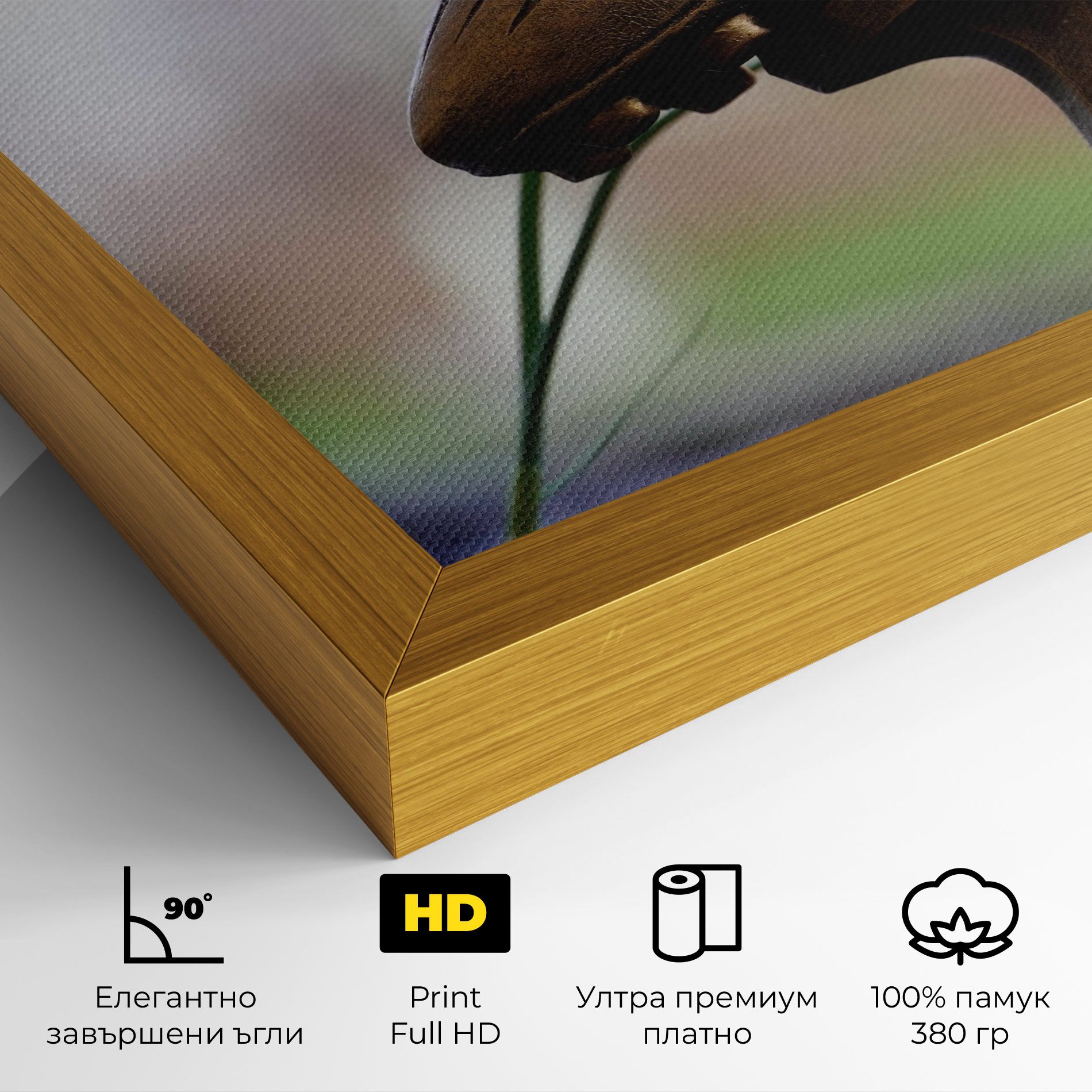 Football Award mockup 4