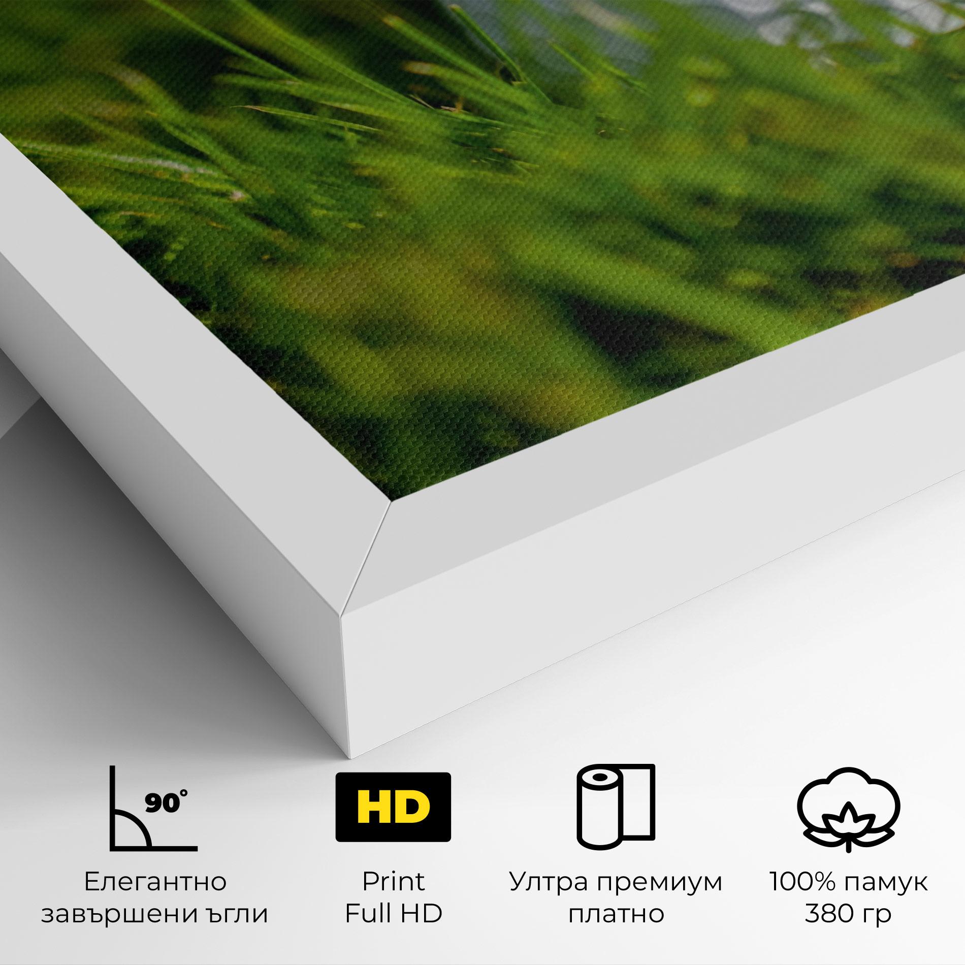 Картина на платно Golf Ball In Grass mockup 4