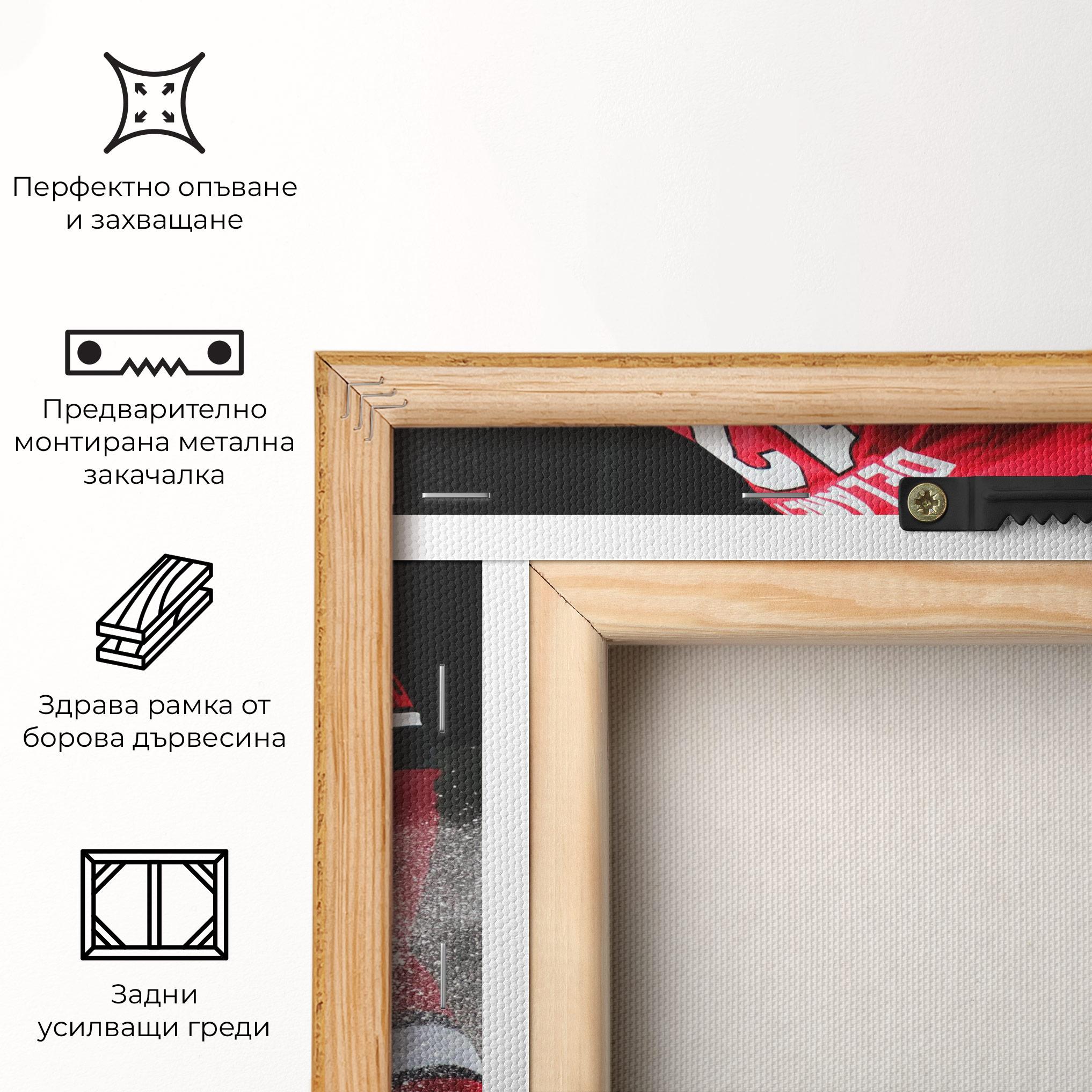 Картина на платно Red Hokey Player mockup 5