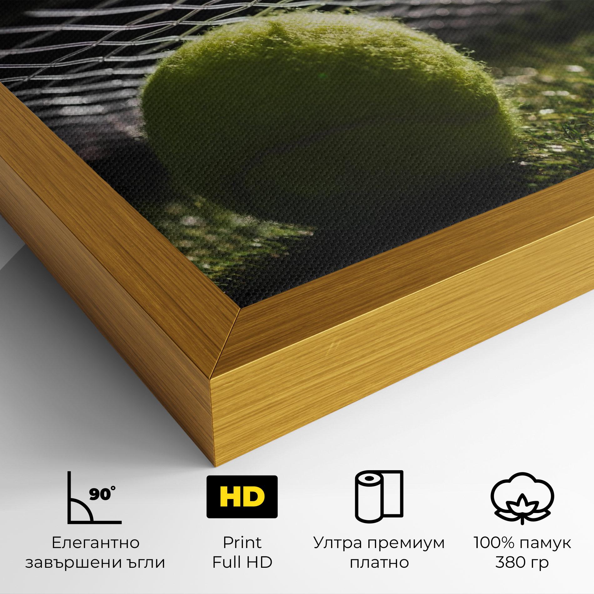 Картина на платно Close Up Tennis Ball mockup 4