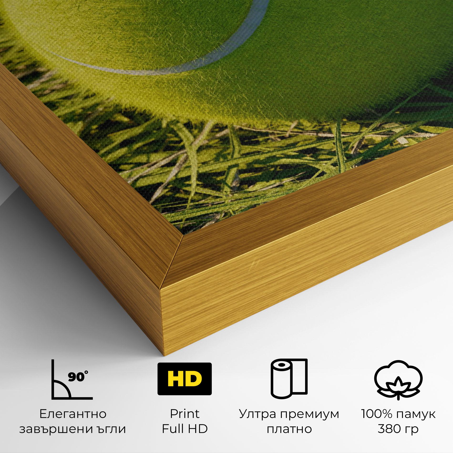 Картина на платно Green Tennis Ball mockup 4
