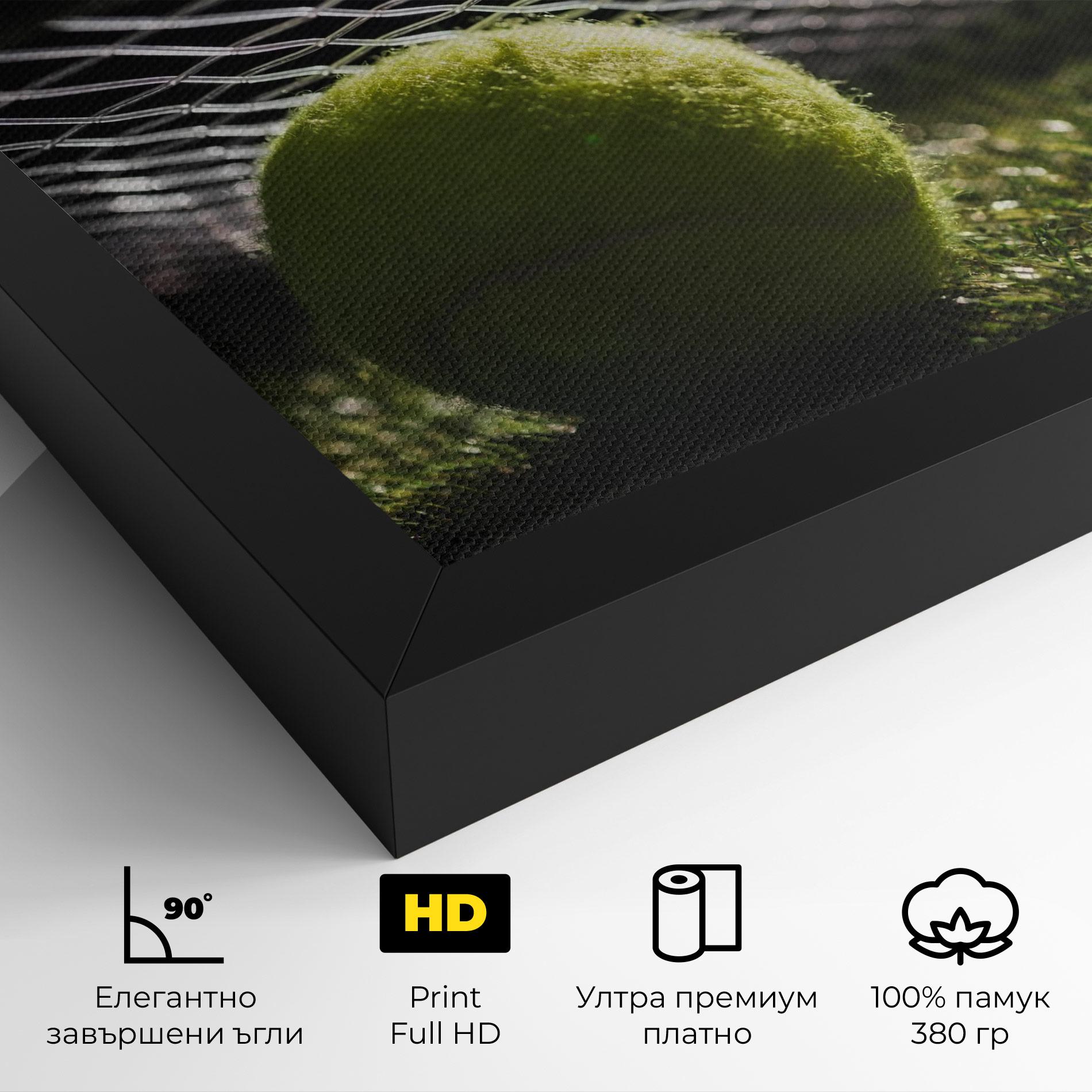 Картина на платно Close Up Tennis Ball mockup 4