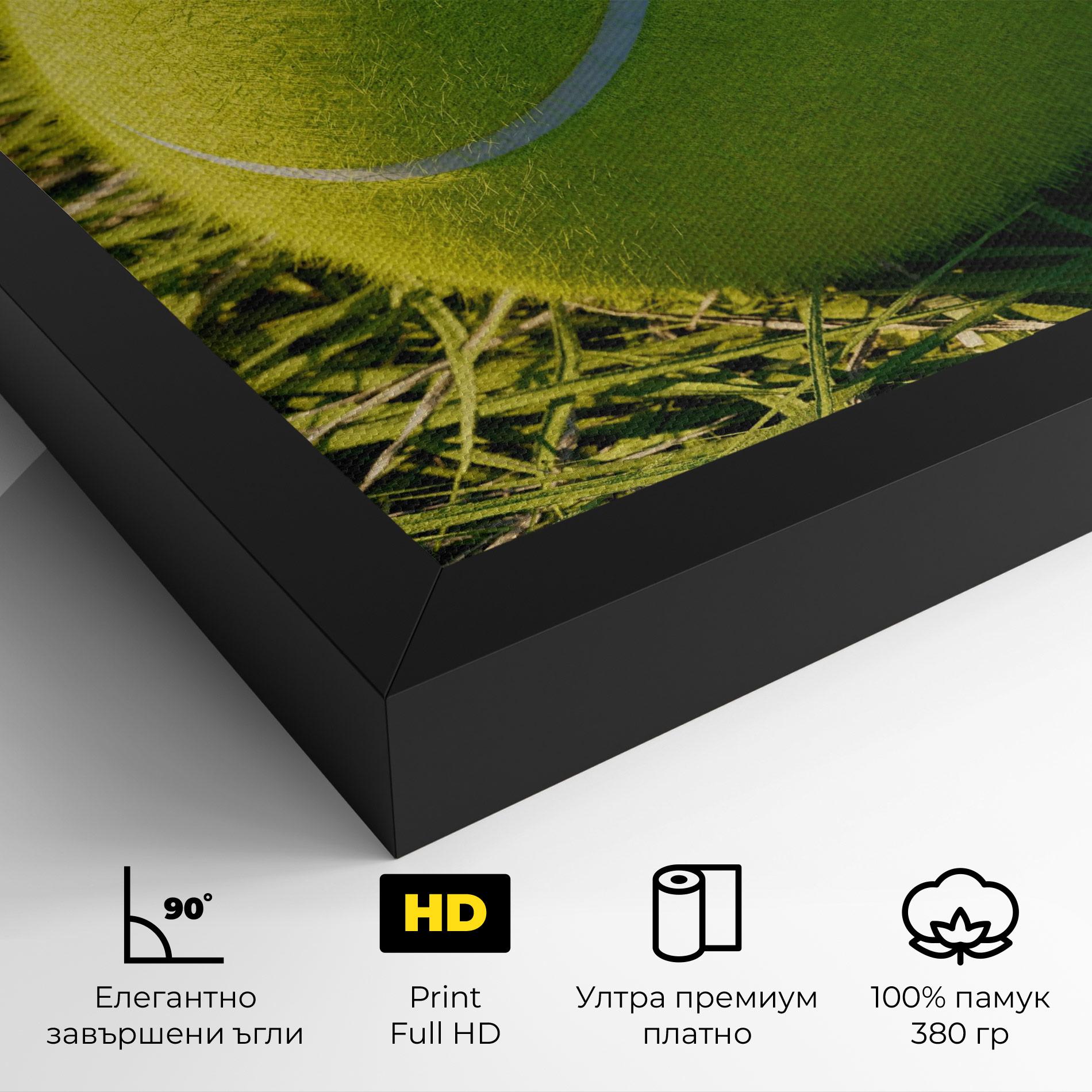 Картина на платно Green Tennis Ball mockup 4