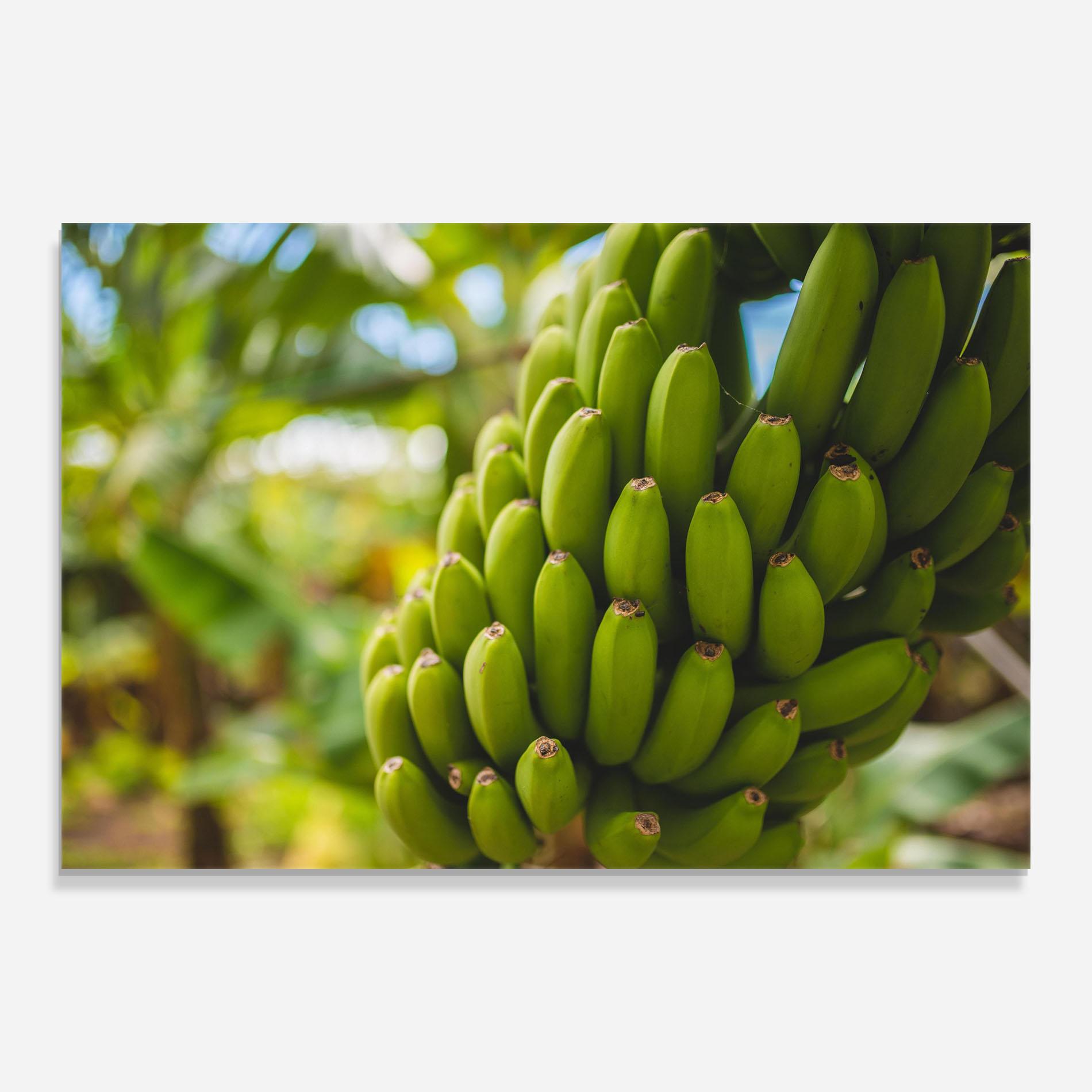 Стъклена картина Green Banana mockup 0