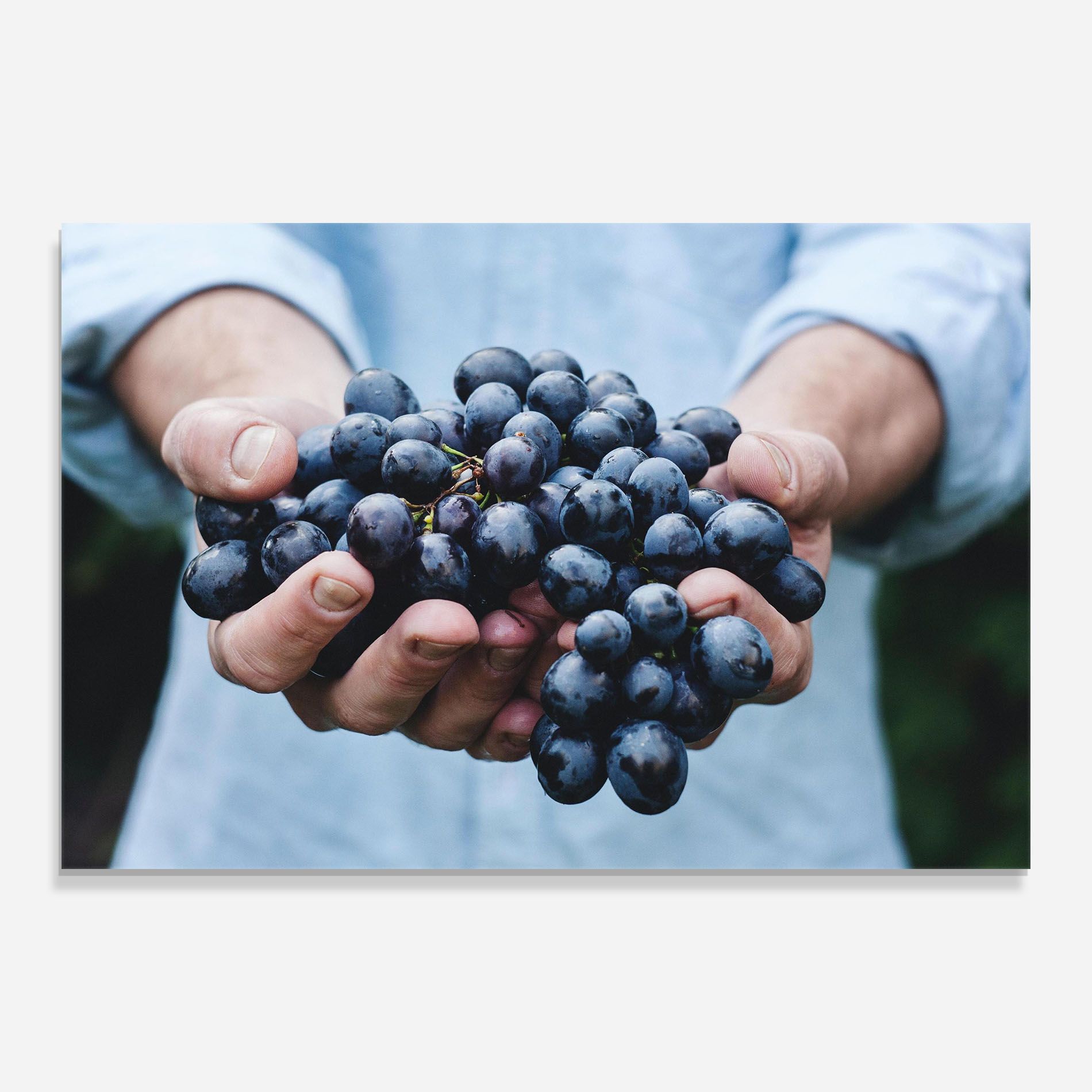 Holding Grapes mockup 0