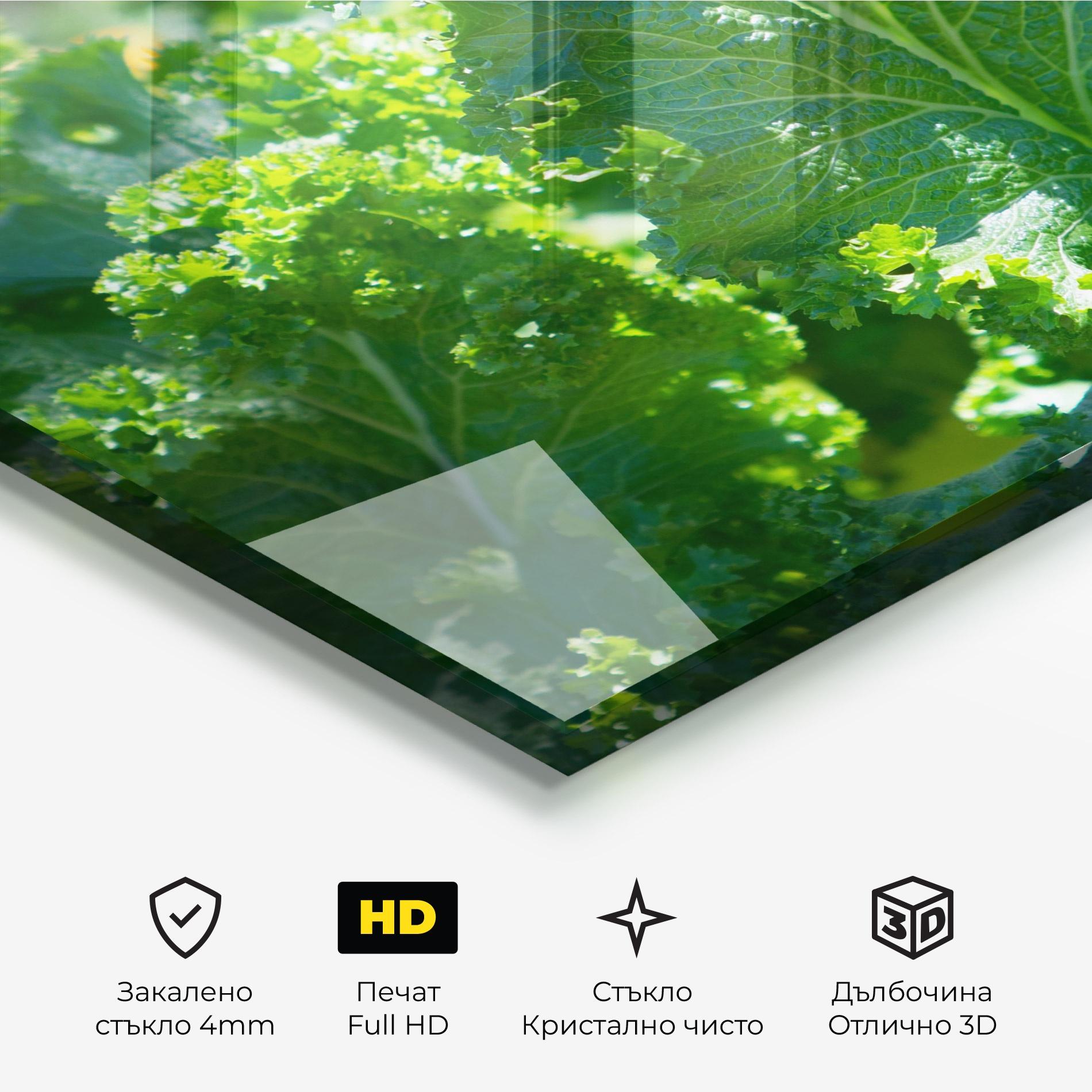 Стъклена картина Lettuce View mockup 3