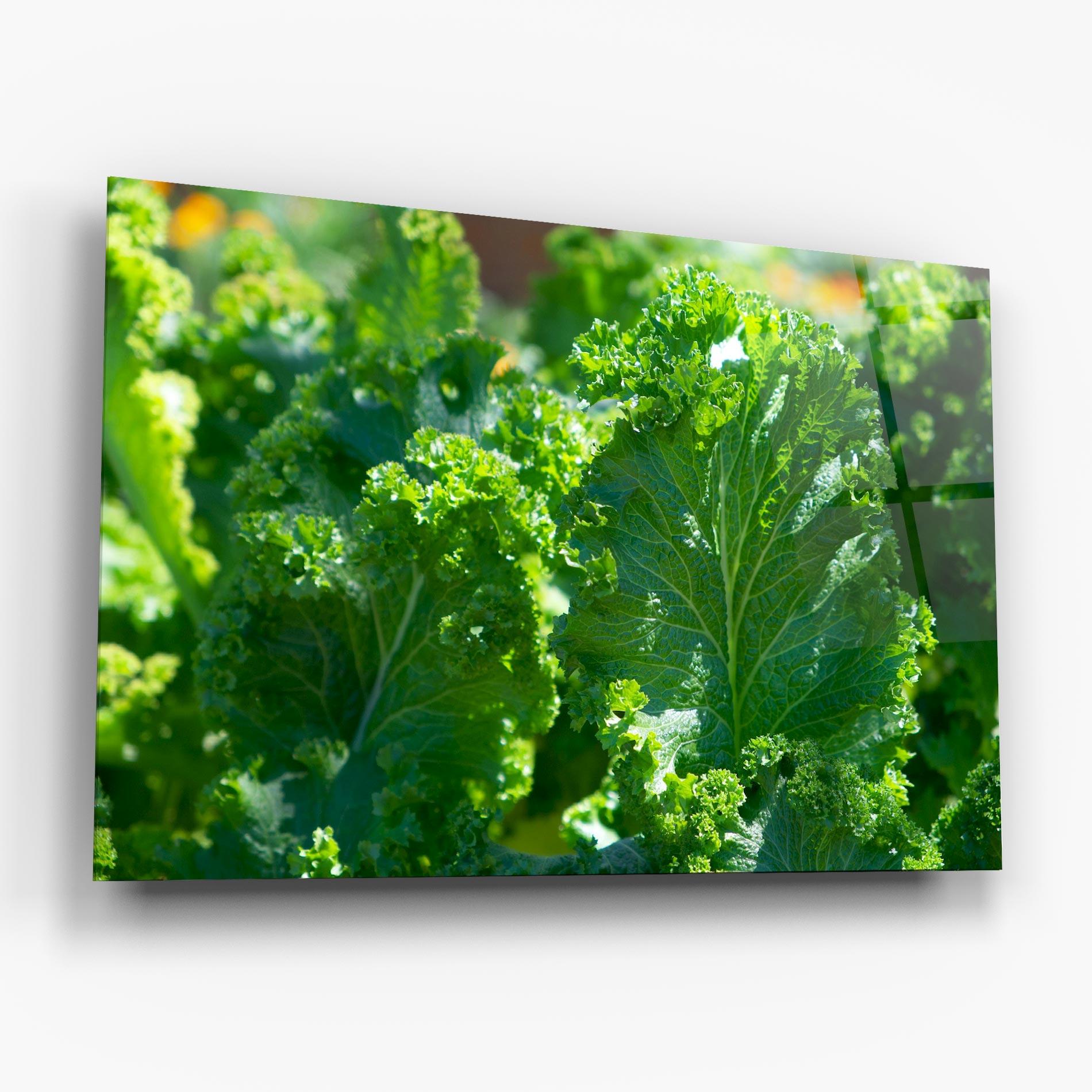 Стъклена картина Lettuce View mockup 6