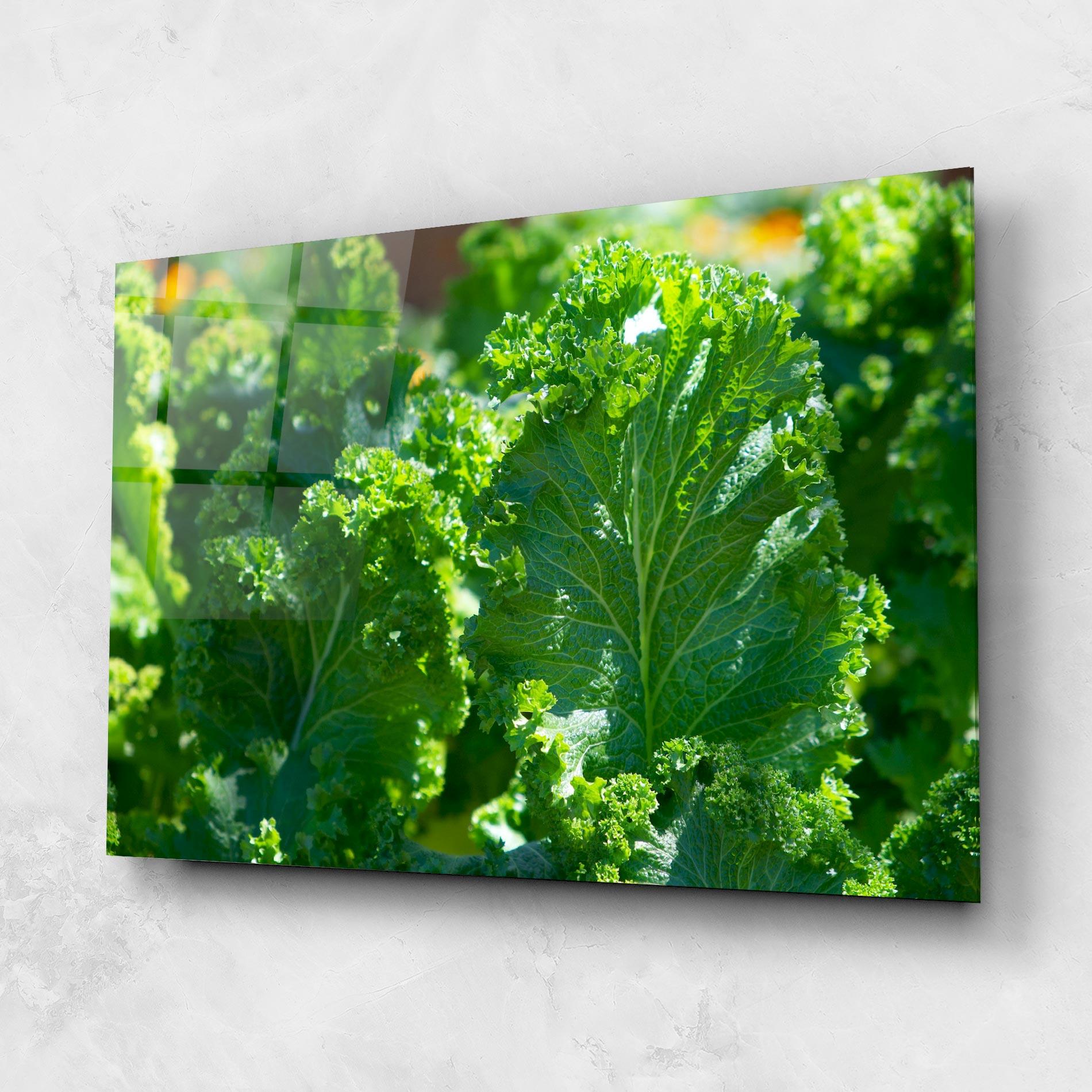 Стъклена картина Lettuce View mockup 1