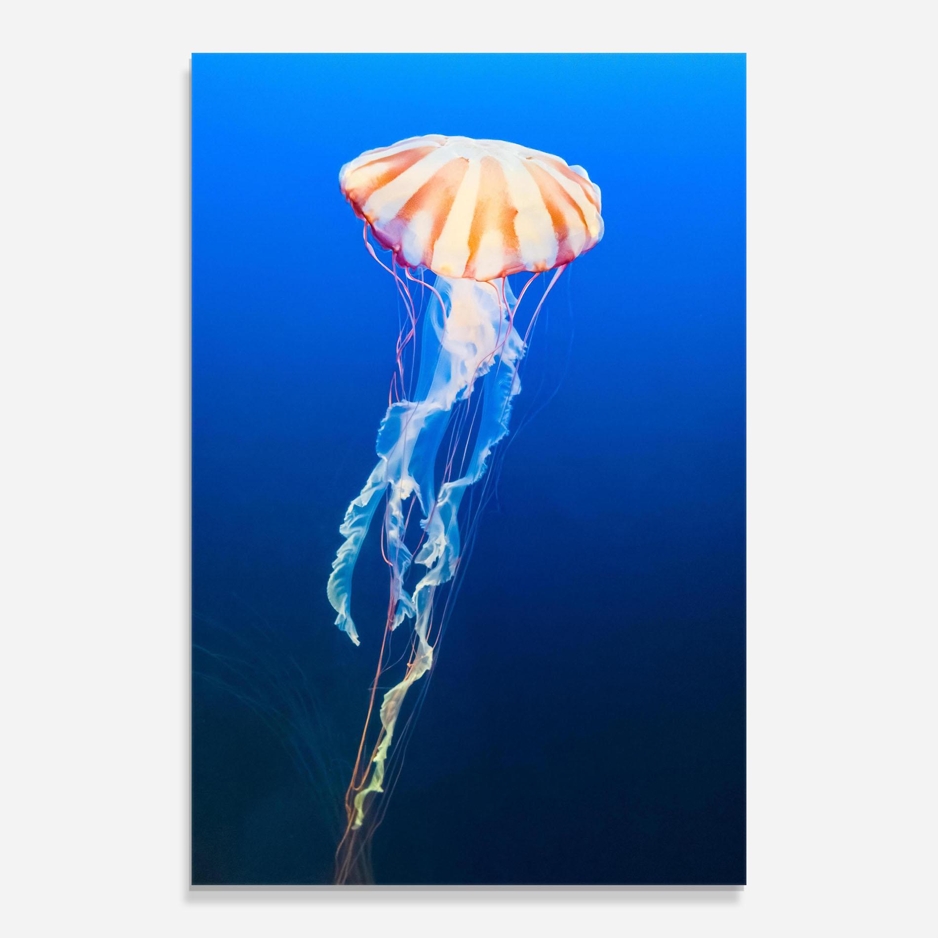 Стъклена картина Cream Jellyfish mockup 0